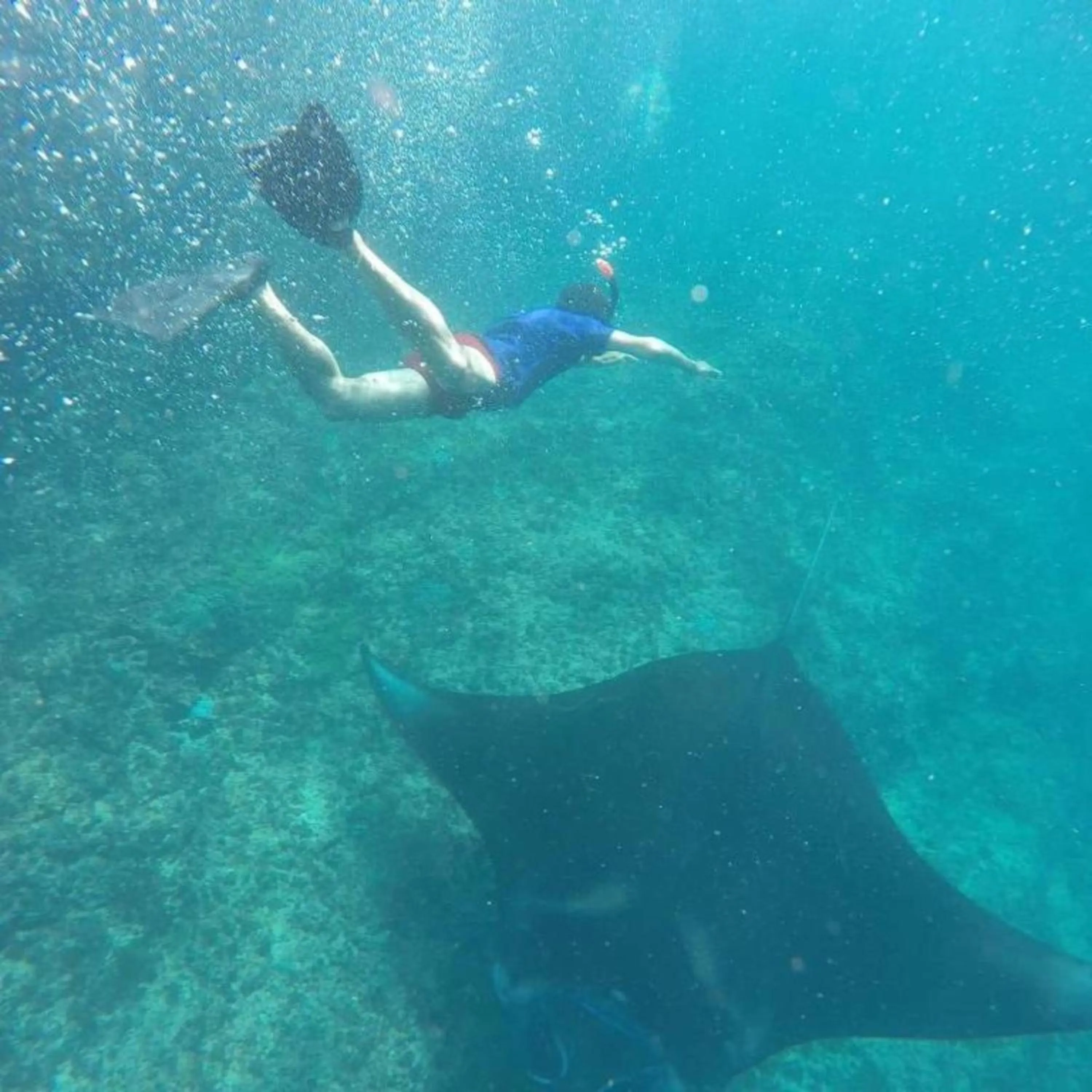 Diving in Green Kubu Asri Villa