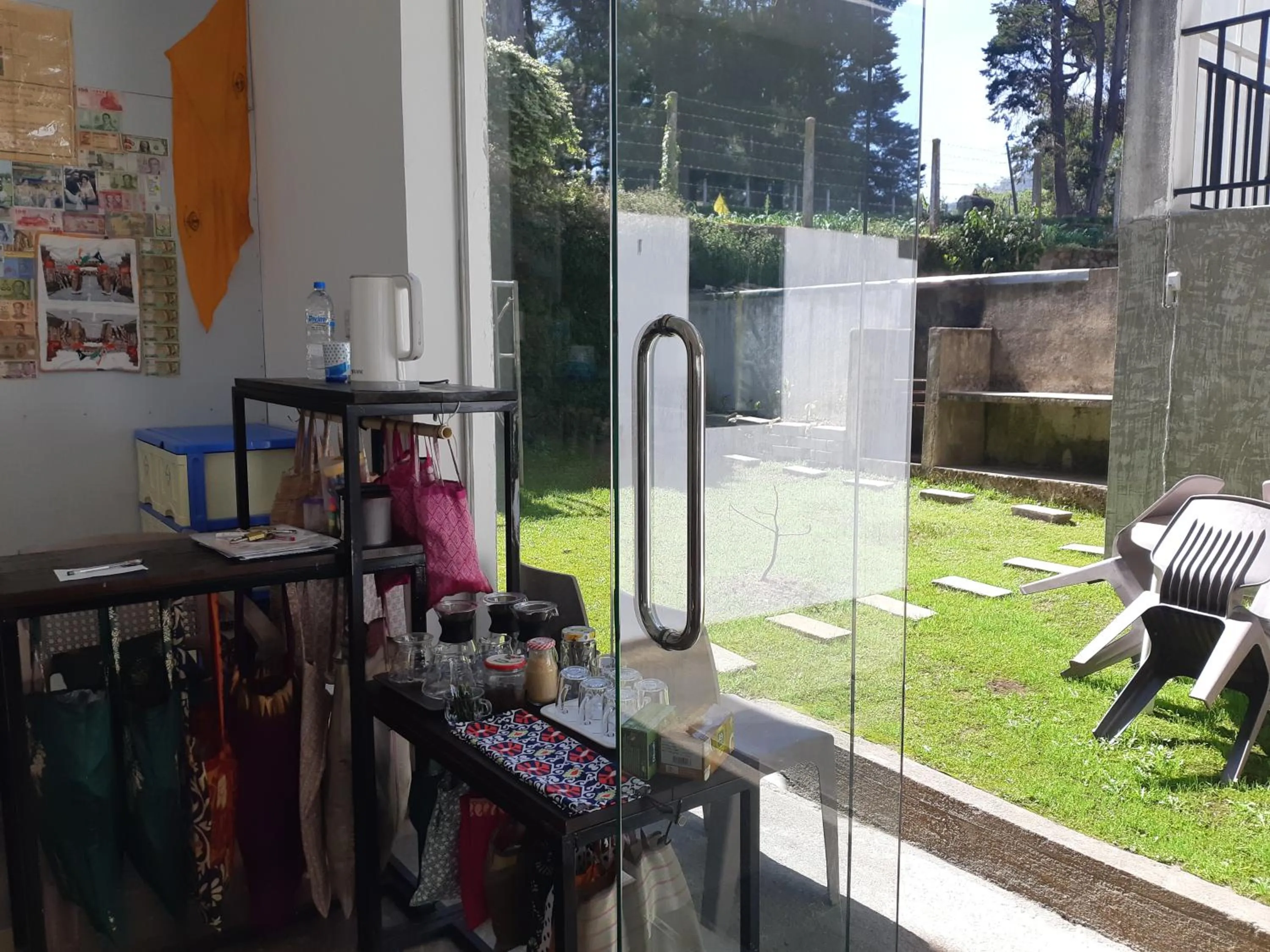 Garden in Siril Guesthouse Hostel