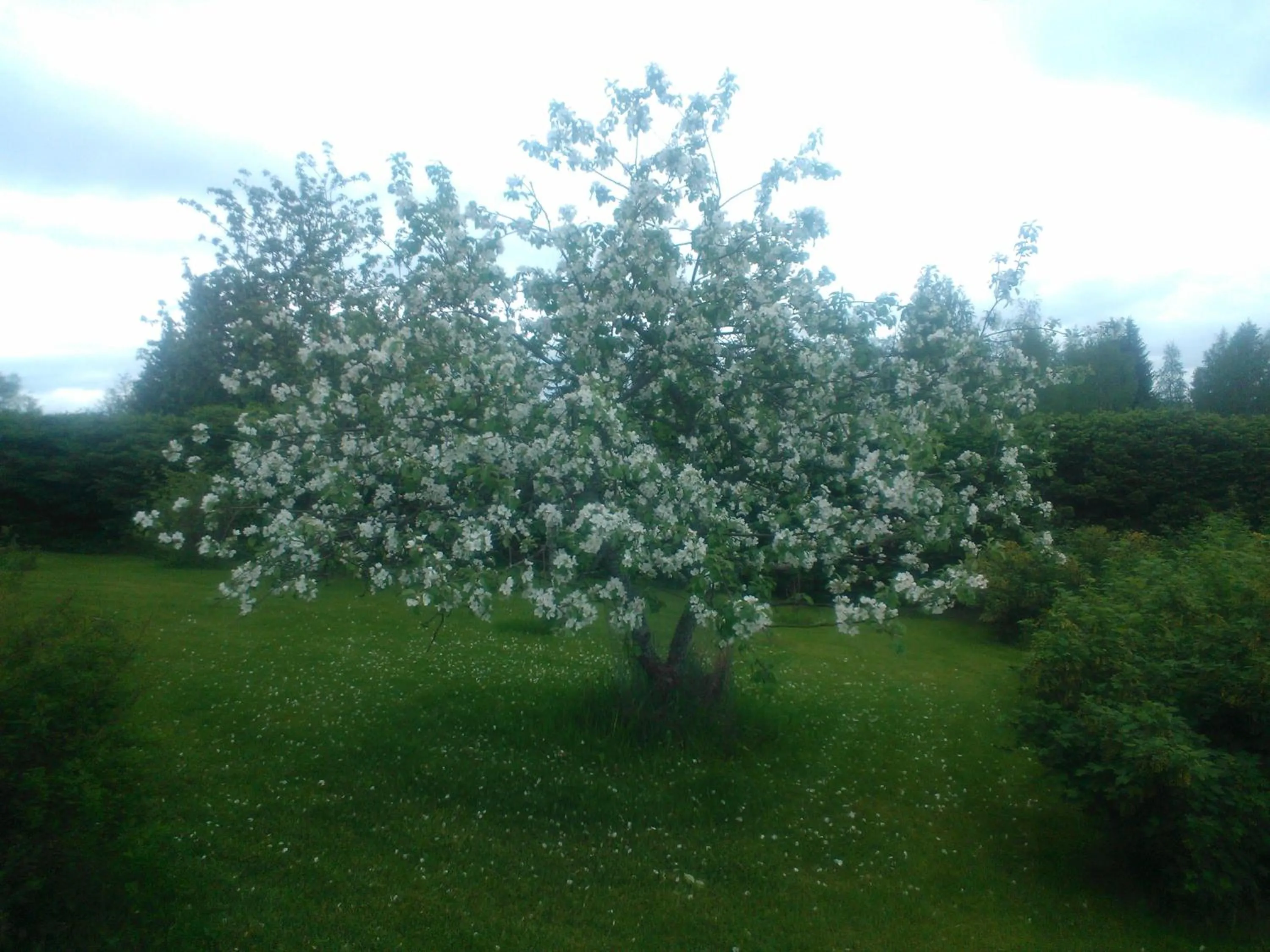 Other in Hyvölän Talo