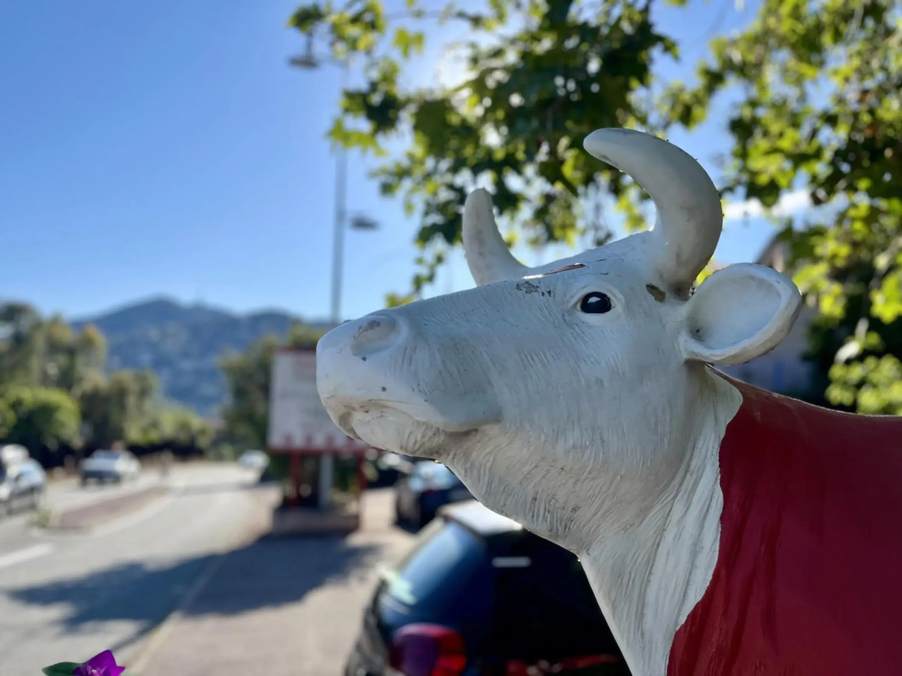 Property building in Hotel Le Patio Property building in Hotel Le Patio