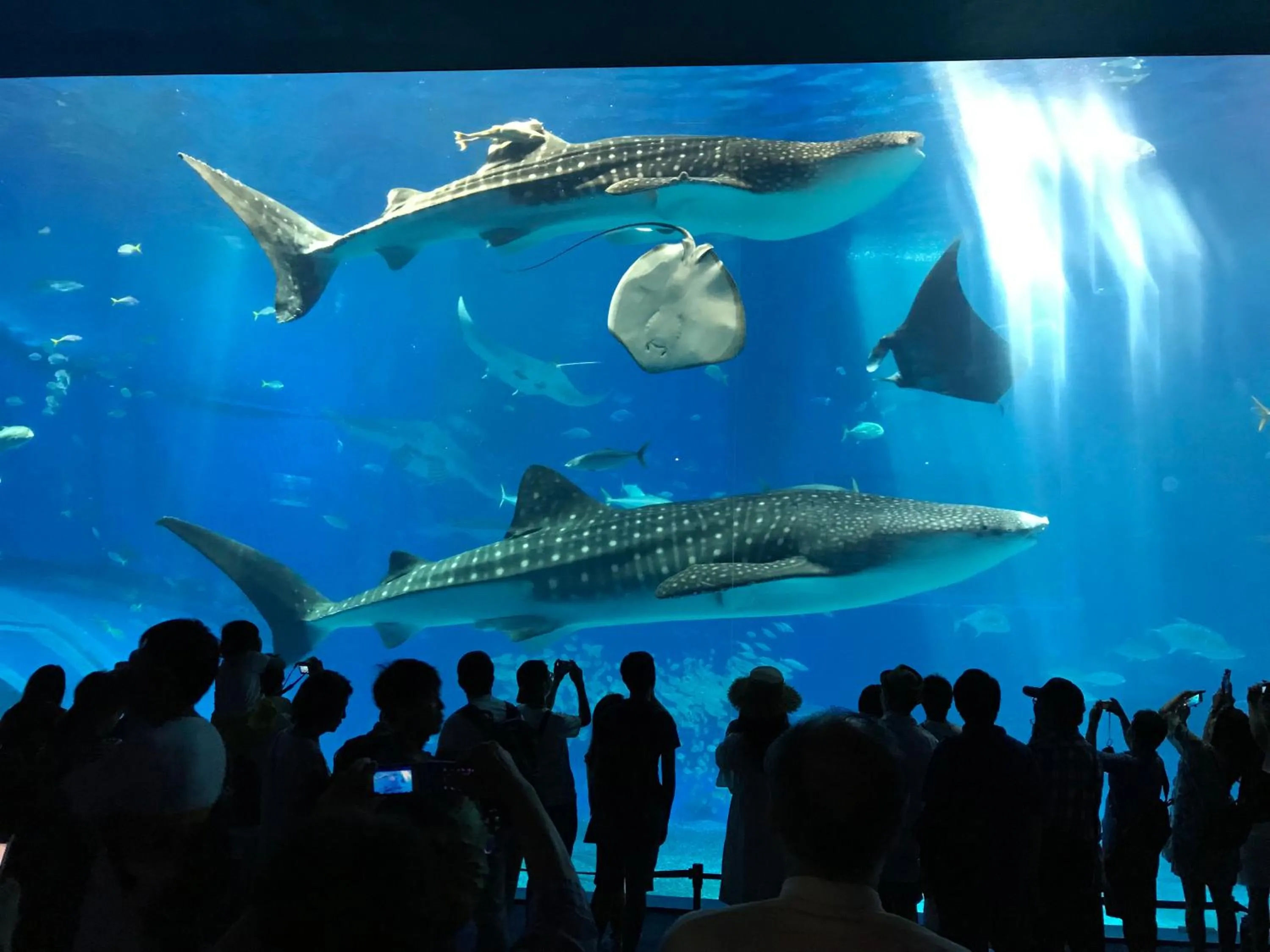 Nearby landmark in Hostel Mosura no Tamago