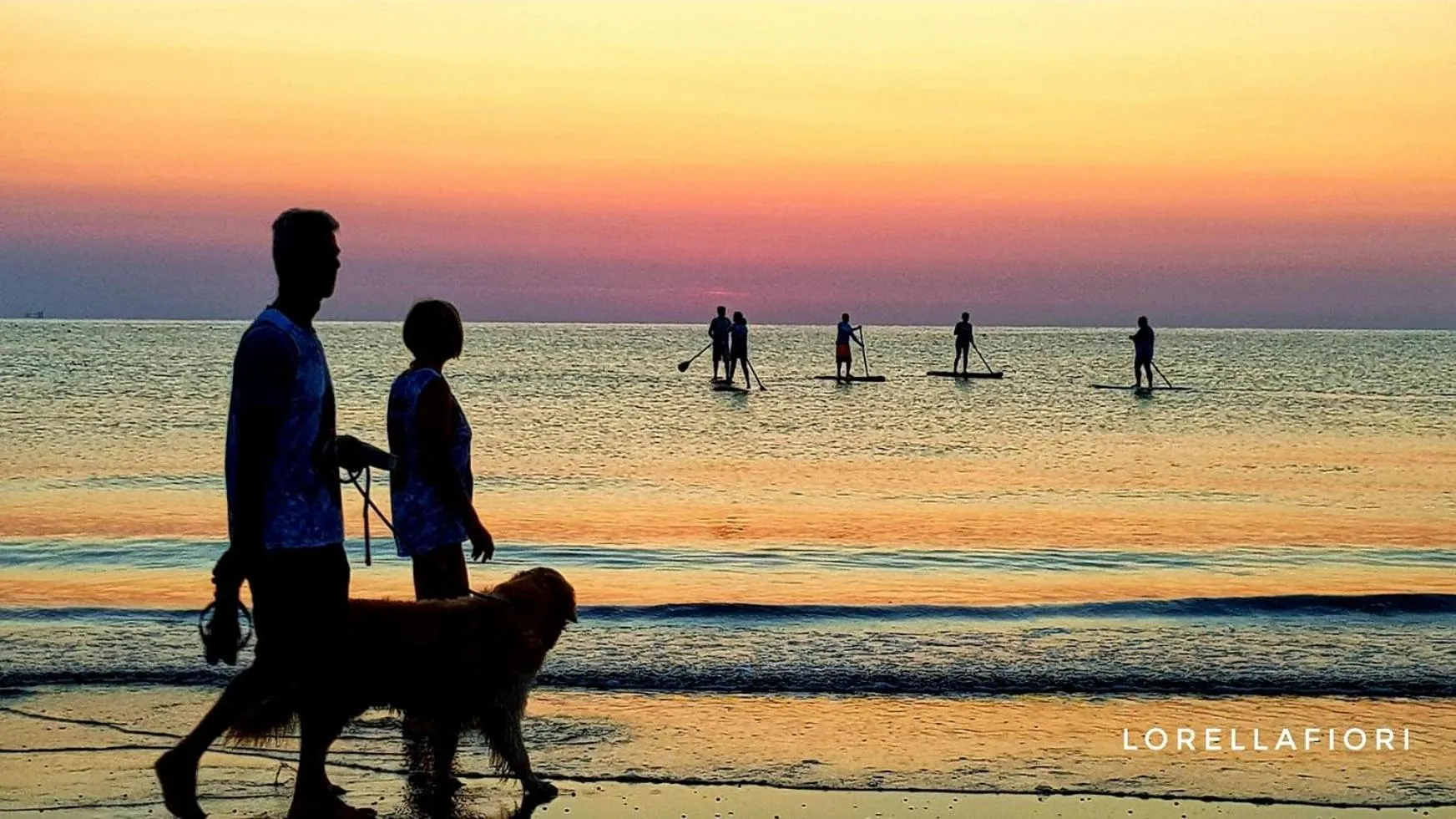 Pets in Residence Cima