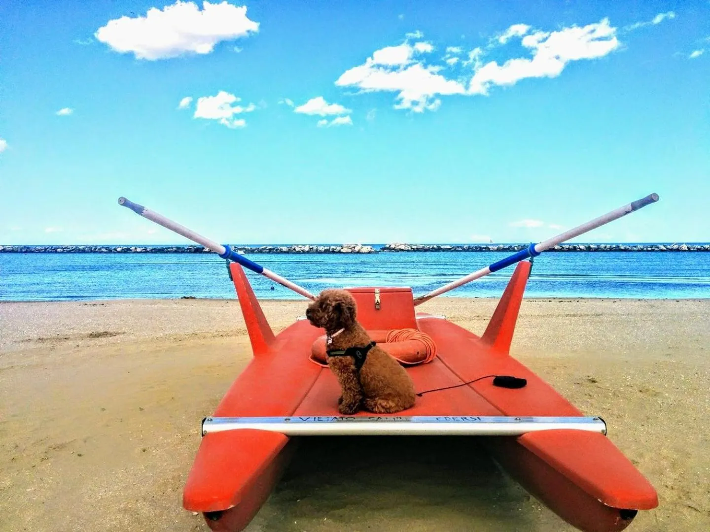 Natural landscape in Residence Cima