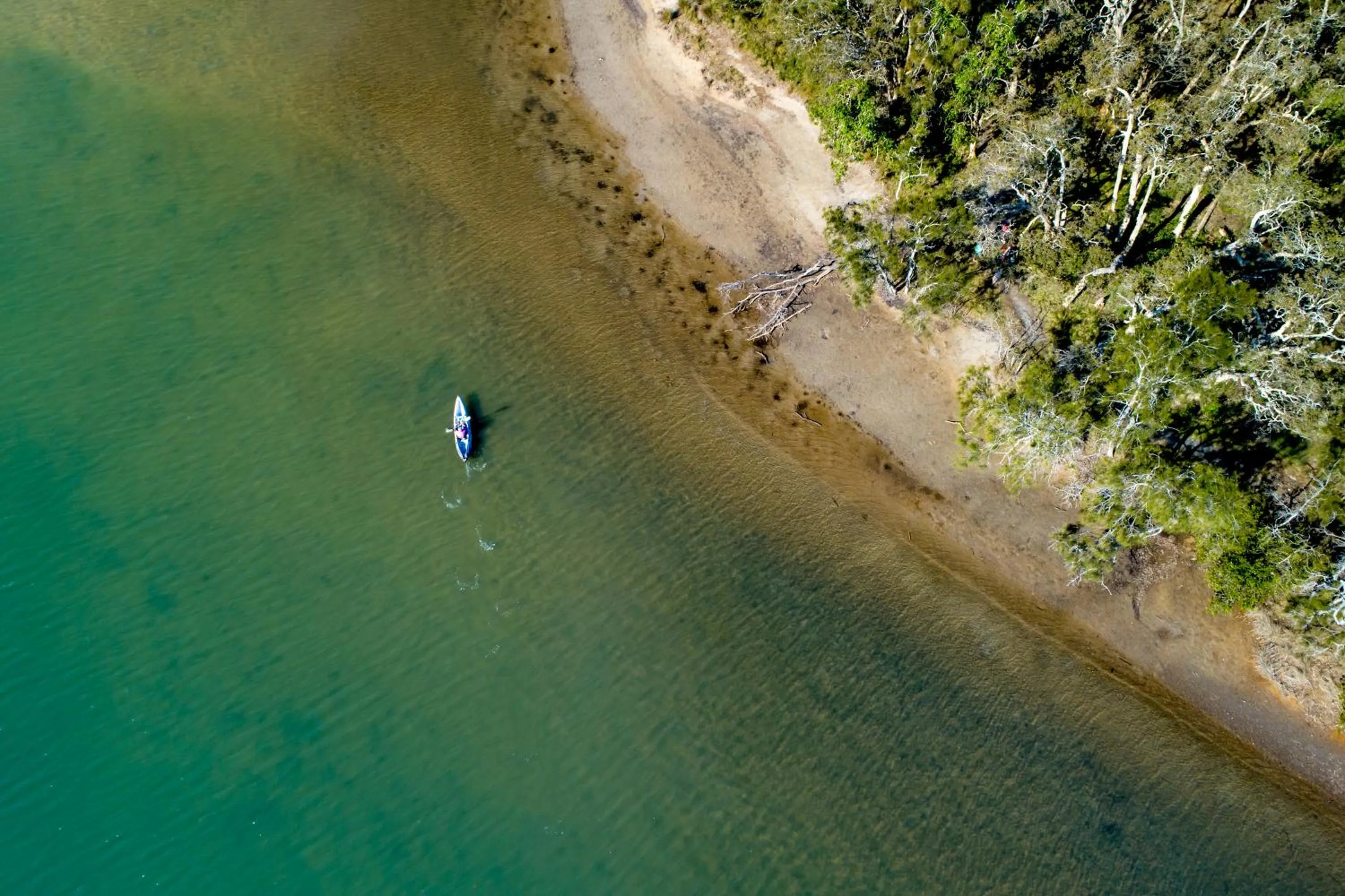 Canoeing in Woolgoolga Lakeside Holiday Park