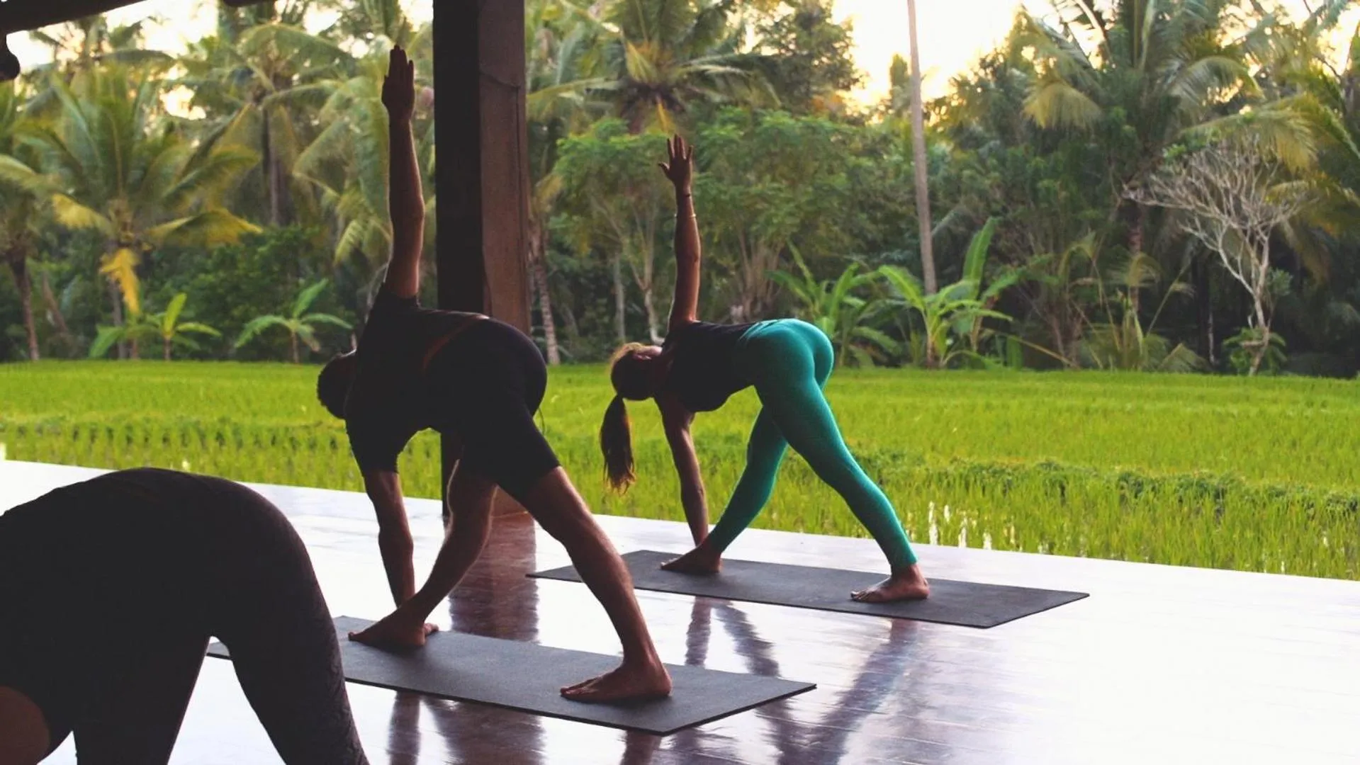 Activities in The Shala Bali