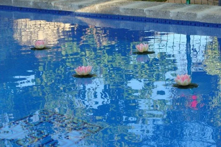 Swimming pool in Arcas de Agua