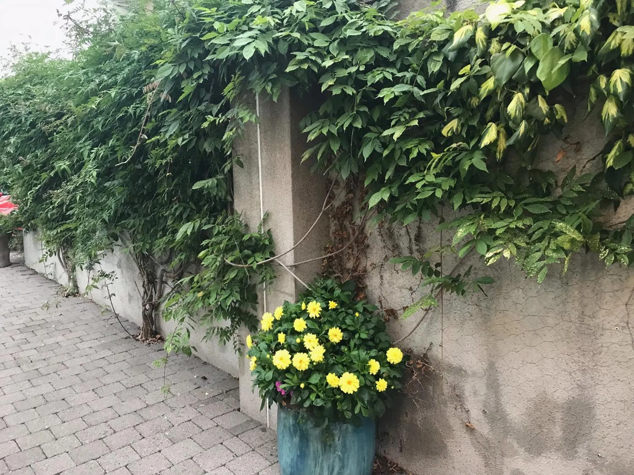 Property building in Avlon House Bed and Breakfast