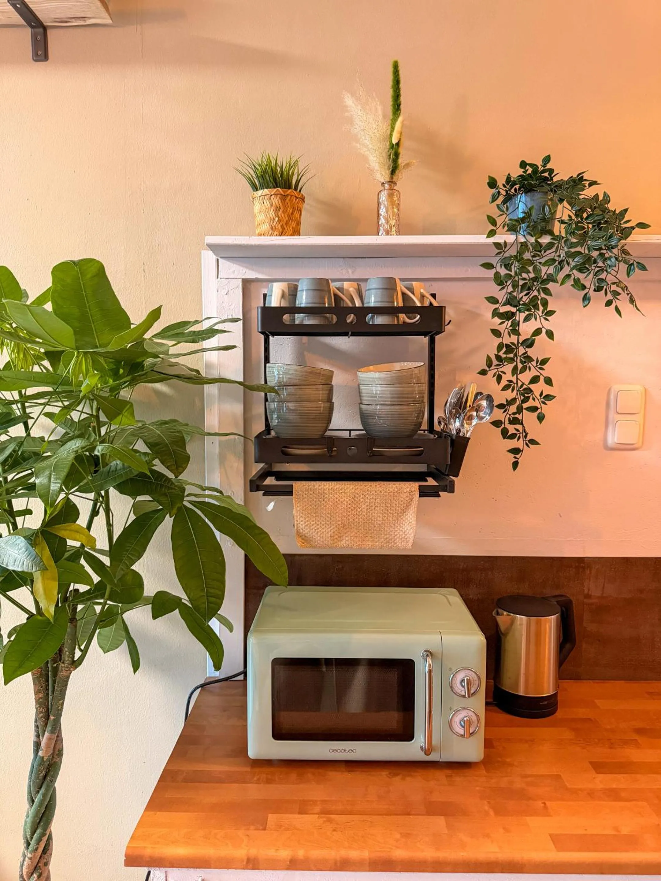 Kitchen or kitchenette in Urban Capsule