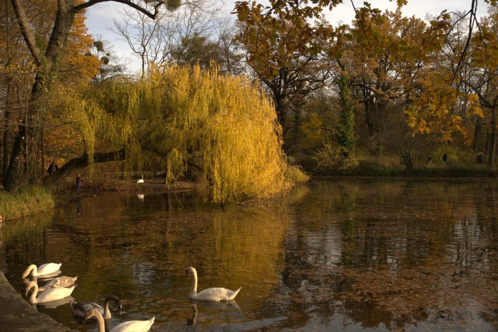 Activities in Urban Capsule