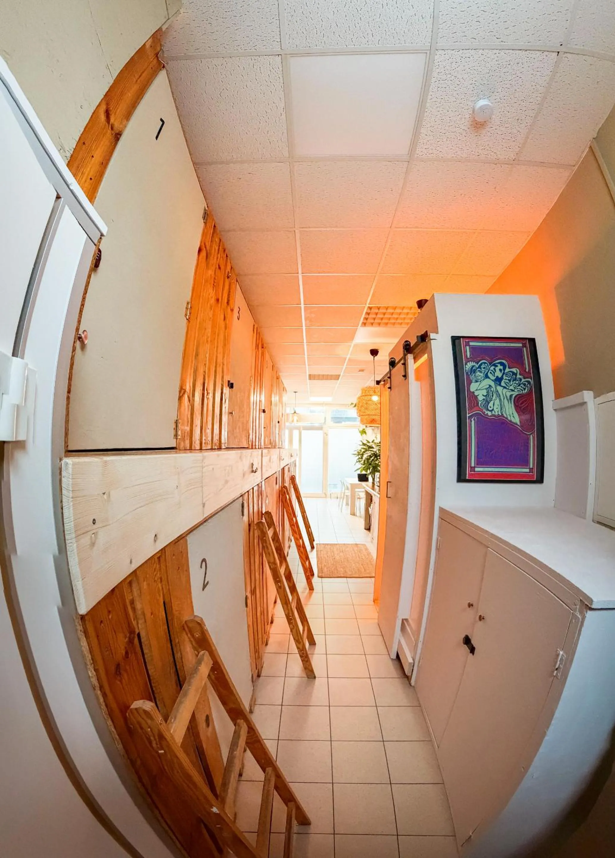 Other in Urban Capsule