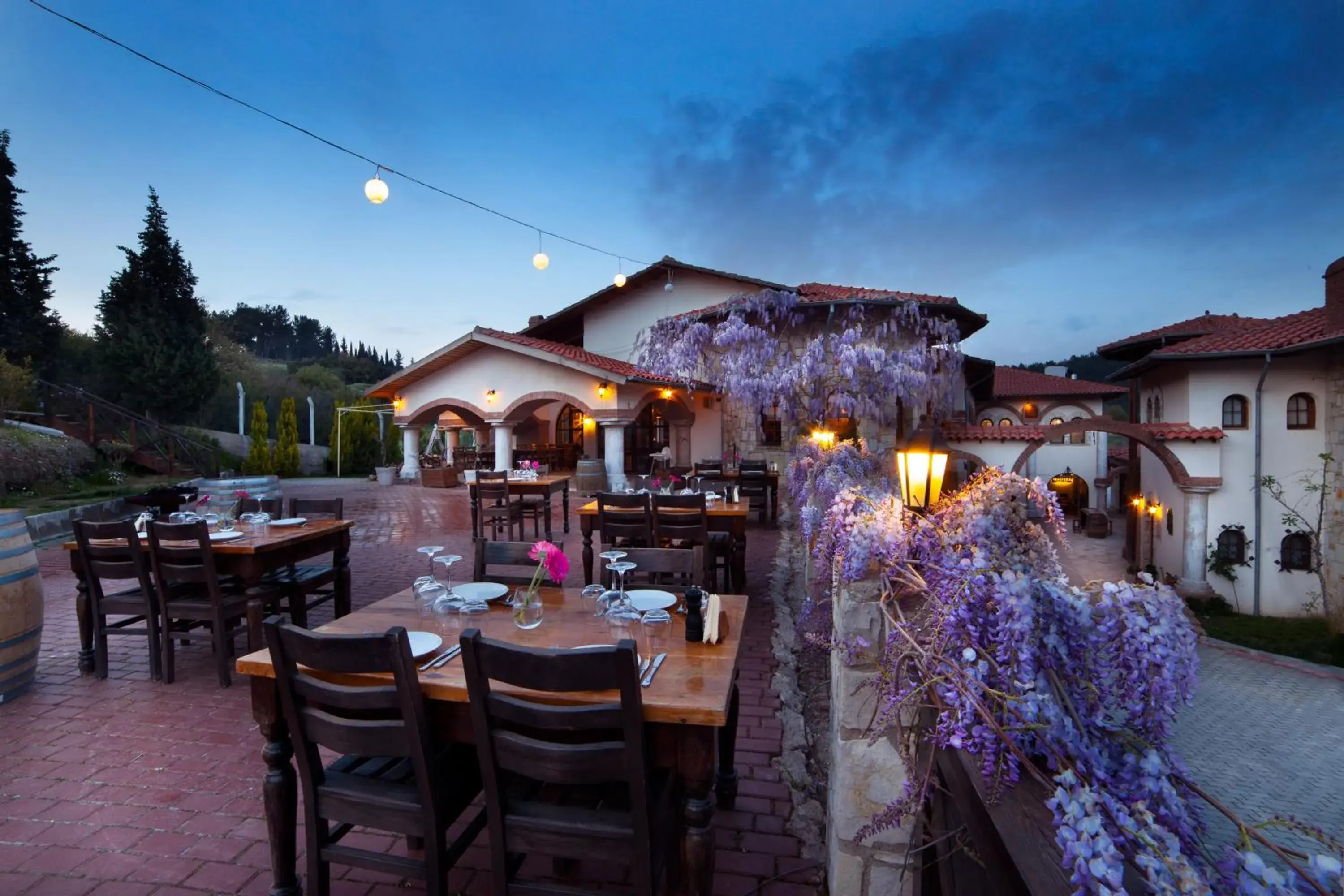 Restaurant/places to eat in VINIFERA VINEYARDS HOTEL Restaurant/places to eat in VINIFERA VINEYARDS HOTEL