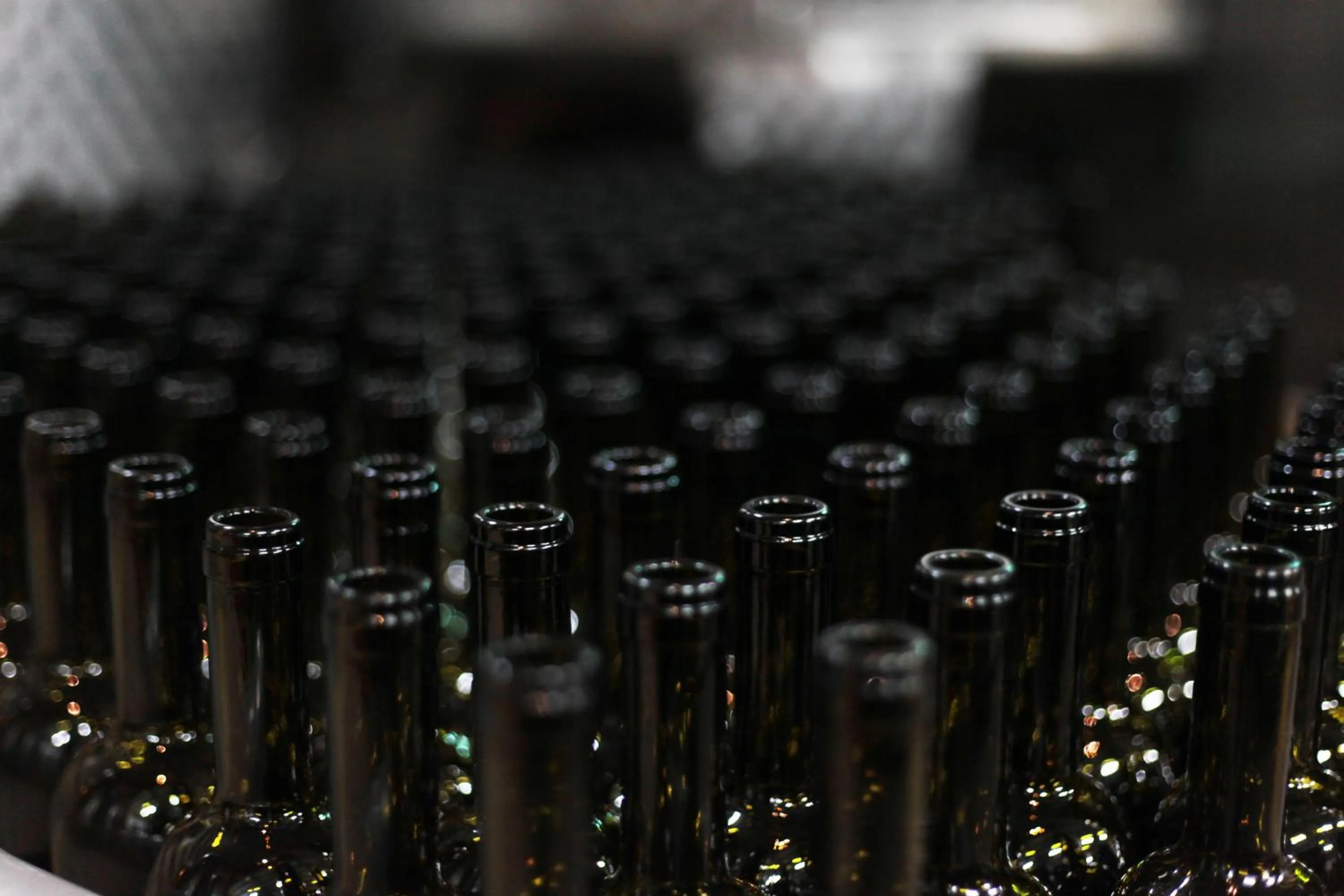 Activities in VINIFERA VINEYARDS HOTEL