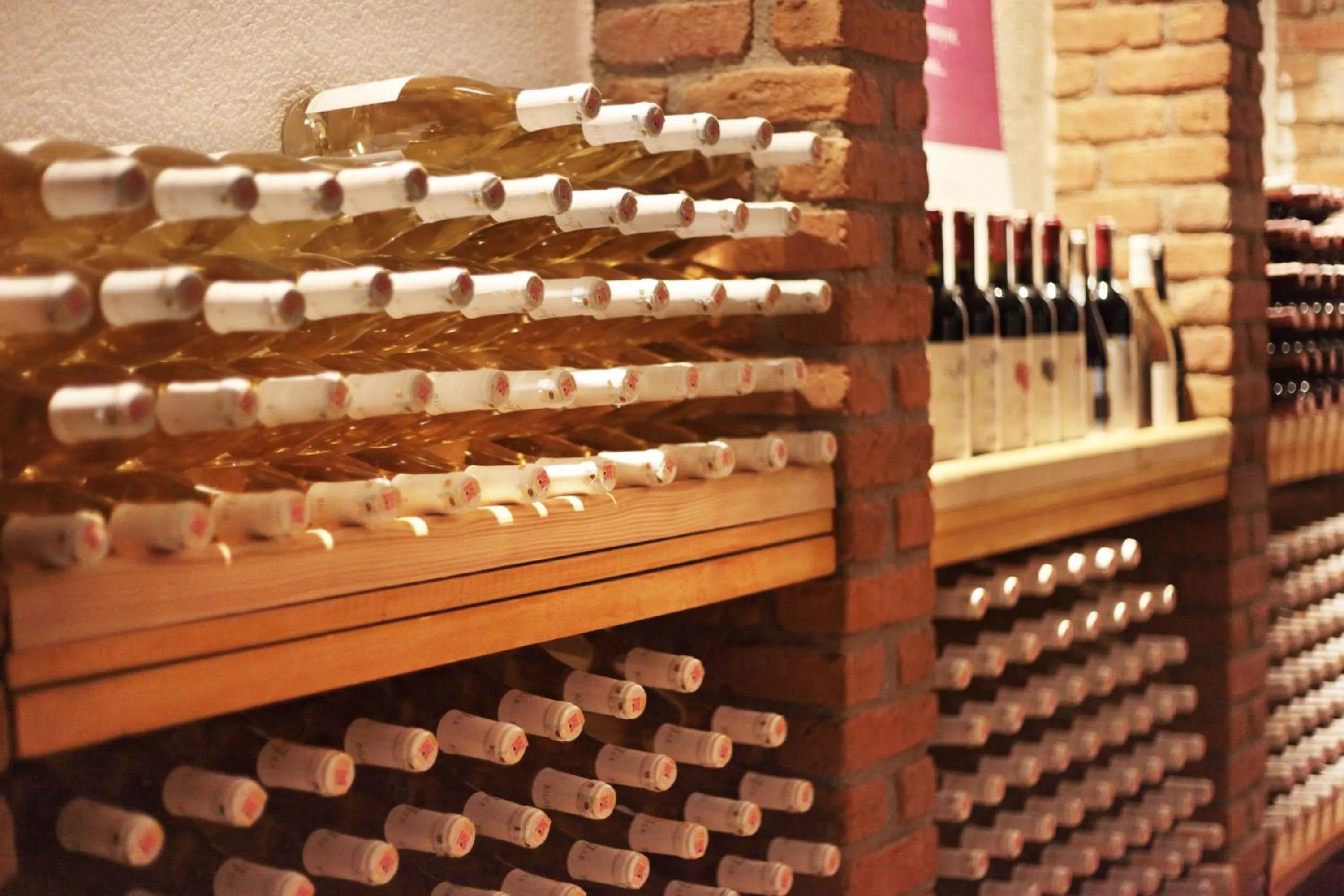 Activities in VINIFERA VINEYARDS HOTEL