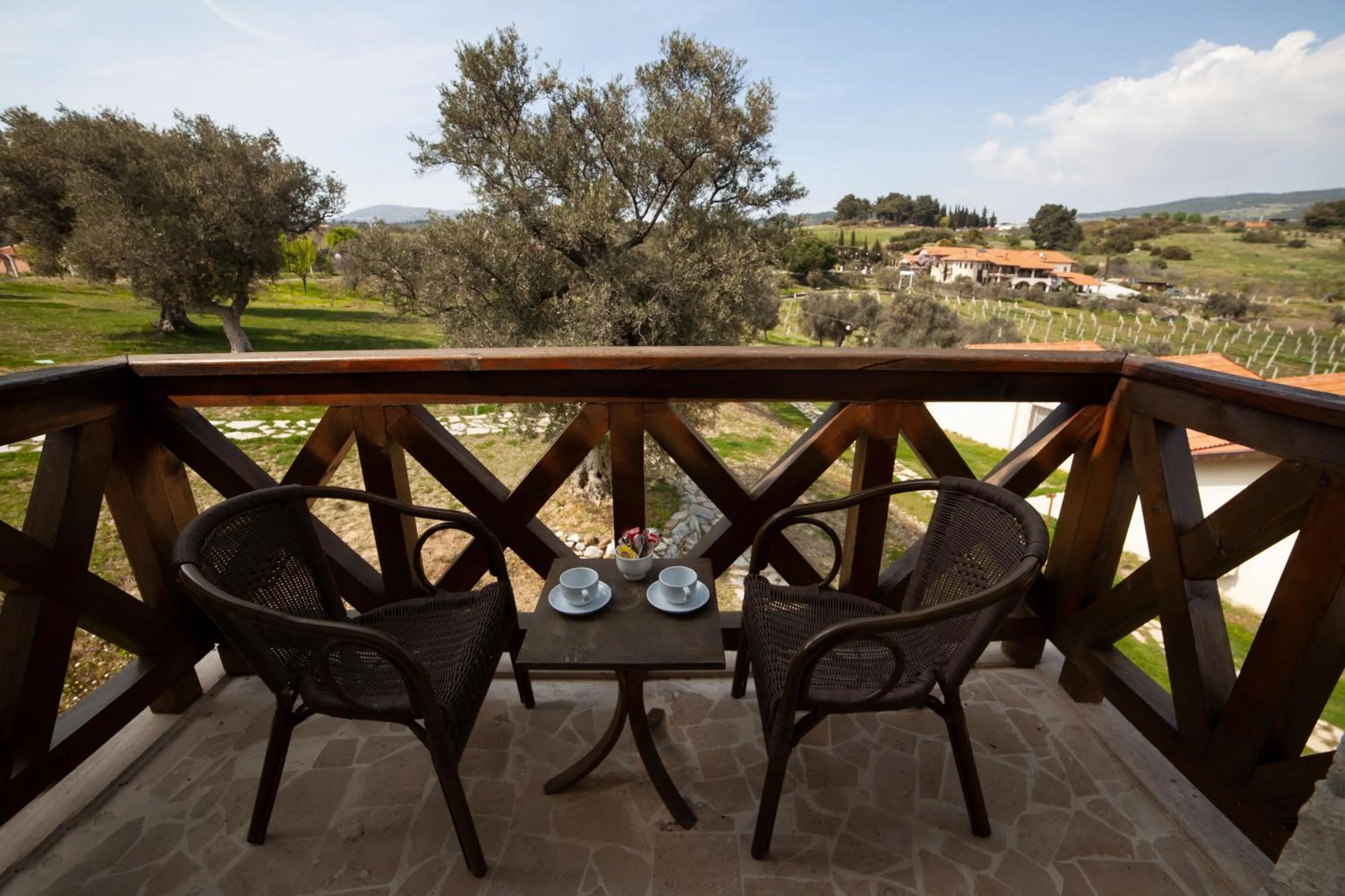 Balcony/Terrace in VINIFERA VINEYARDS HOTEL