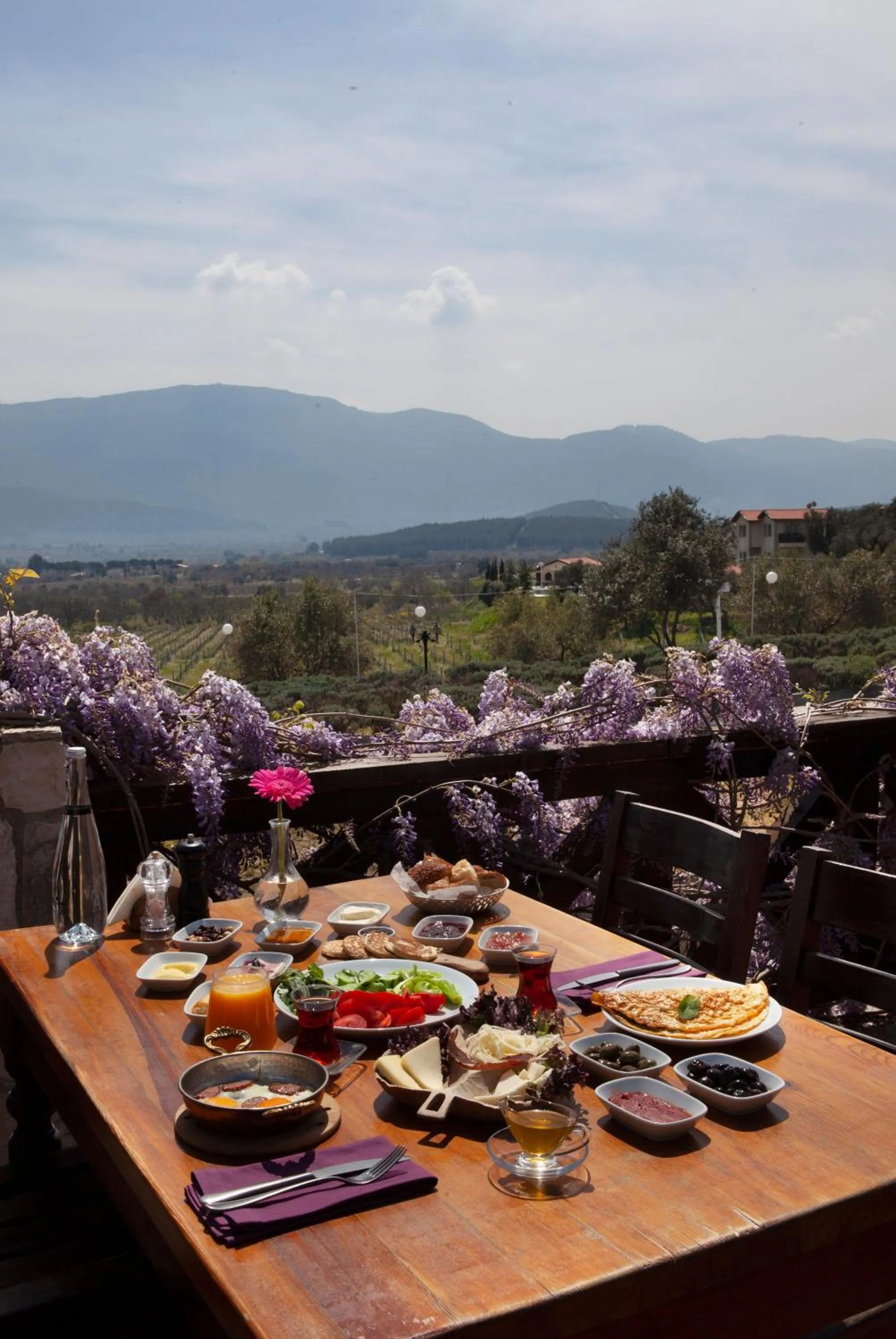 Food in VINIFERA VINEYARDS HOTEL