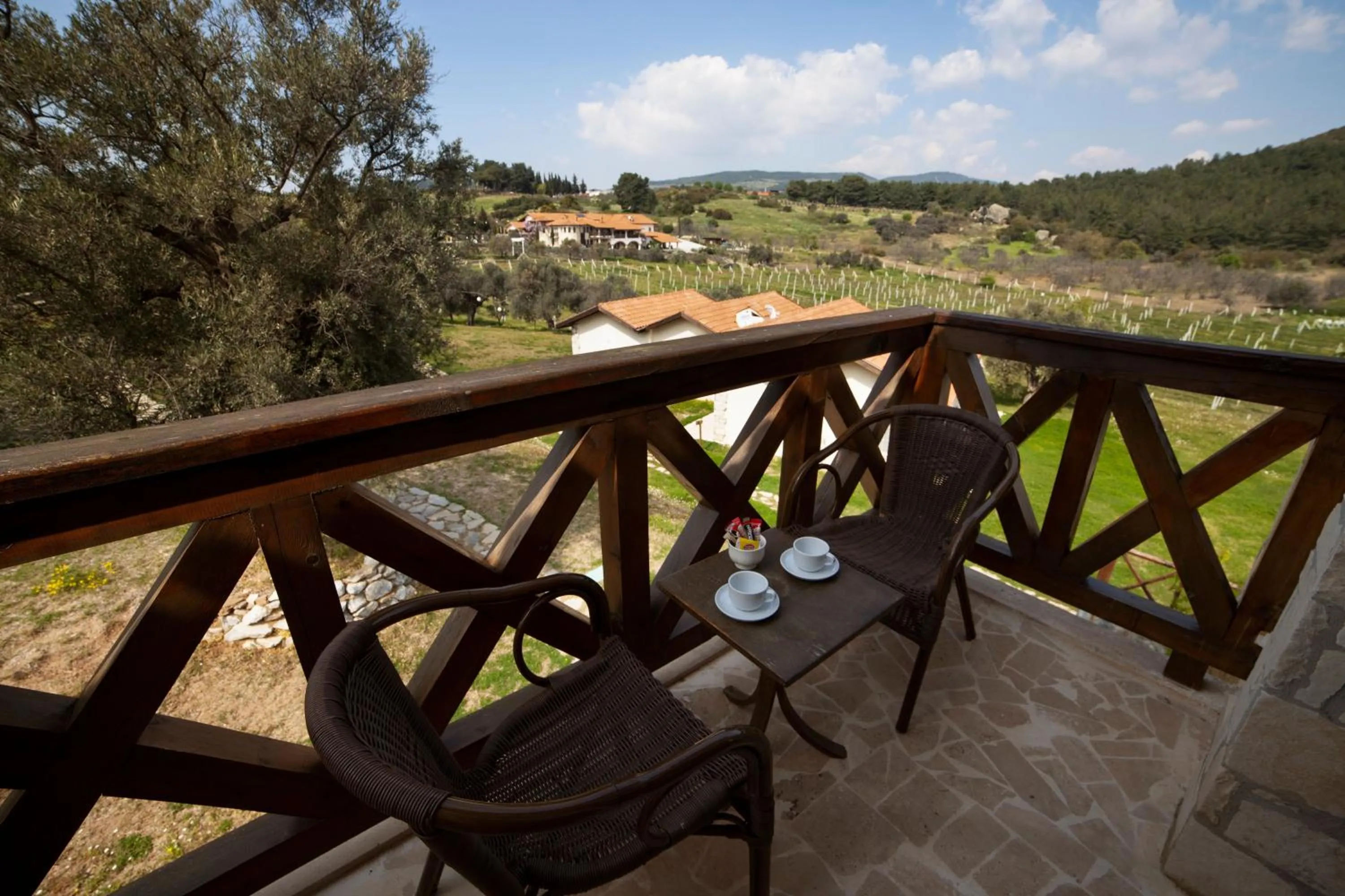 Balcony/Terrace in VINIFERA VINEYARDS HOTEL