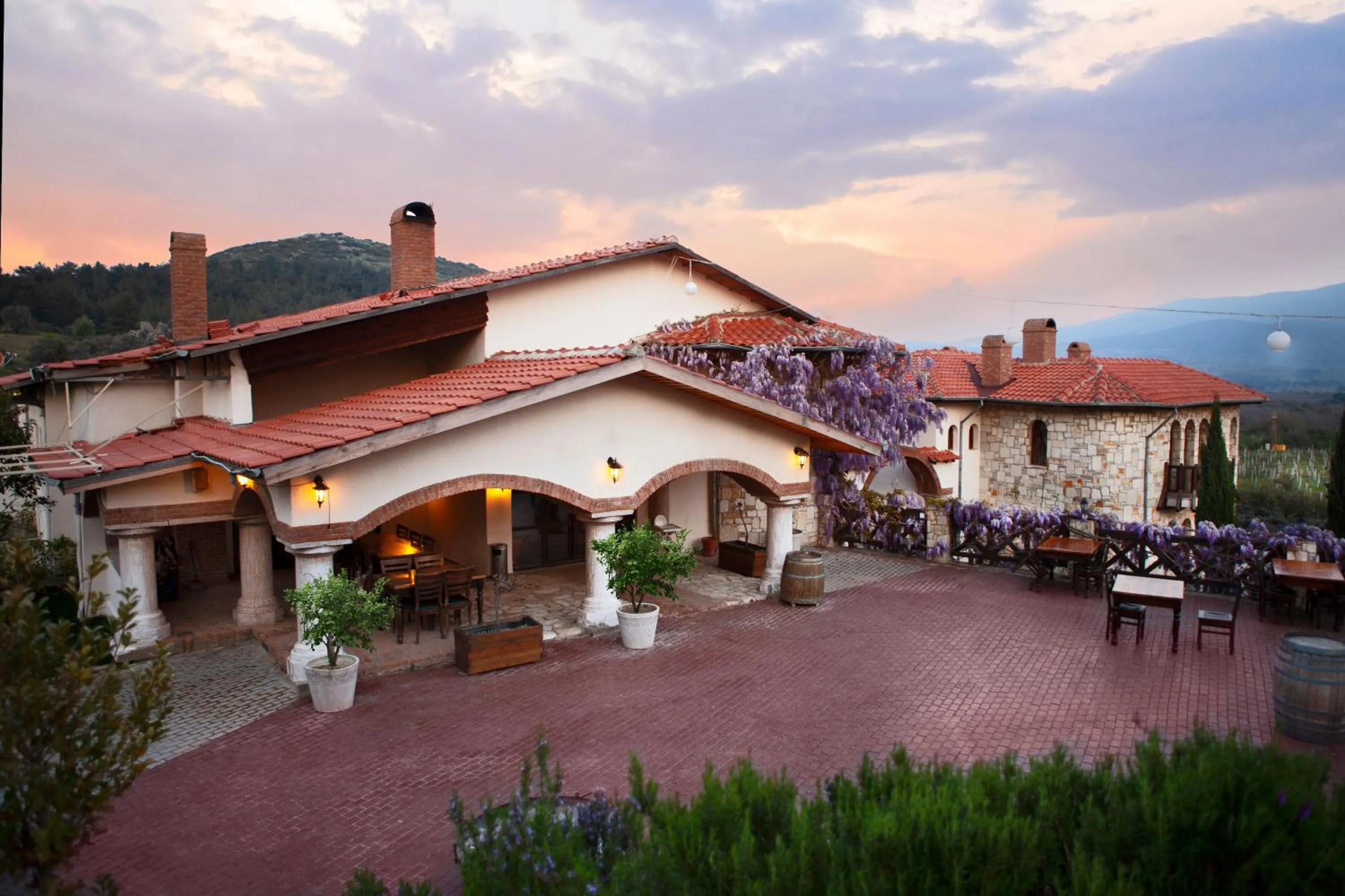 Property building in VINIFERA VINEYARDS HOTEL