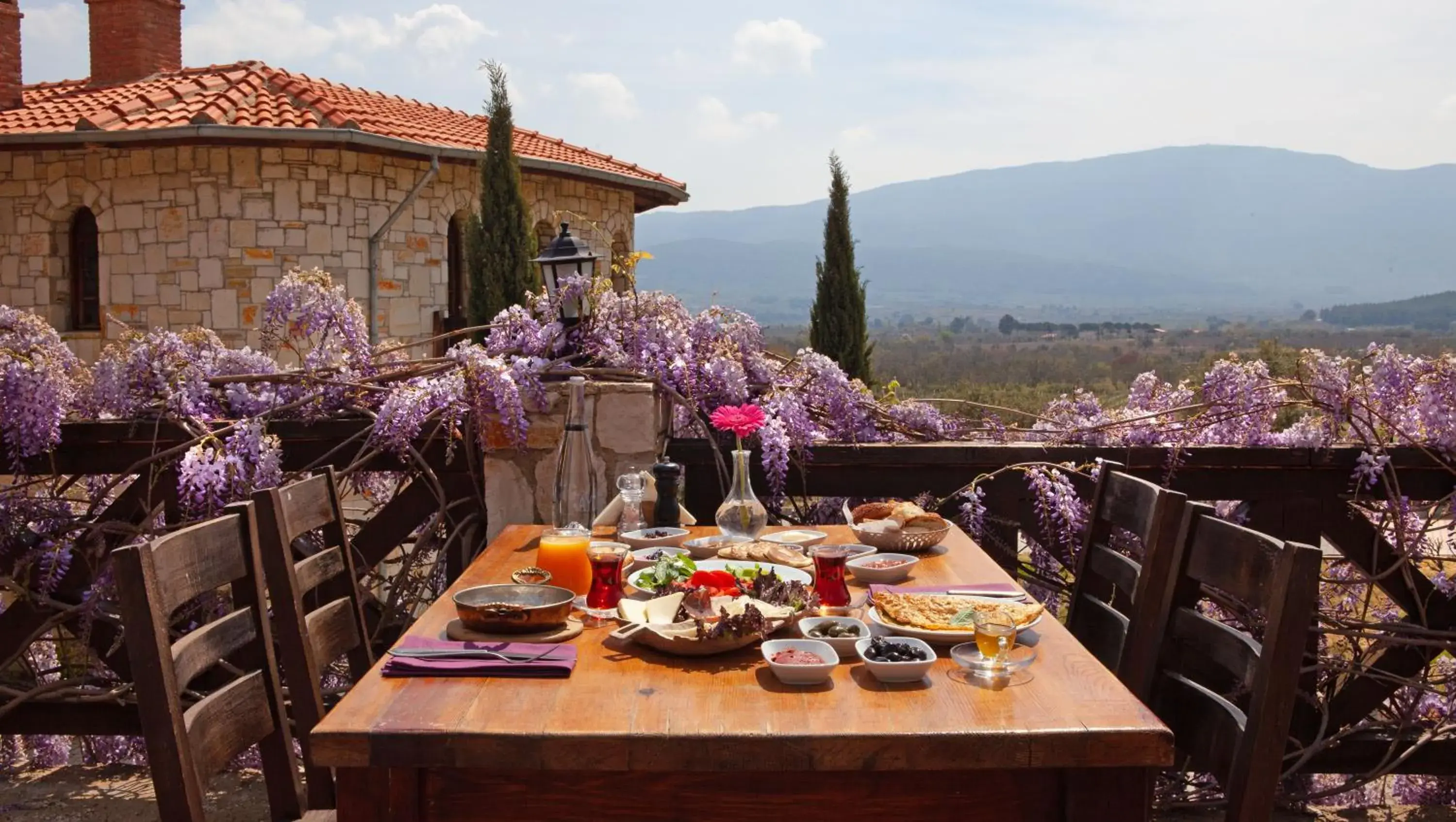 Restaurant/places to eat in VINIFERA VINEYARDS HOTEL Restaurant/places to eat in VINIFERA VINEYARDS HOTEL