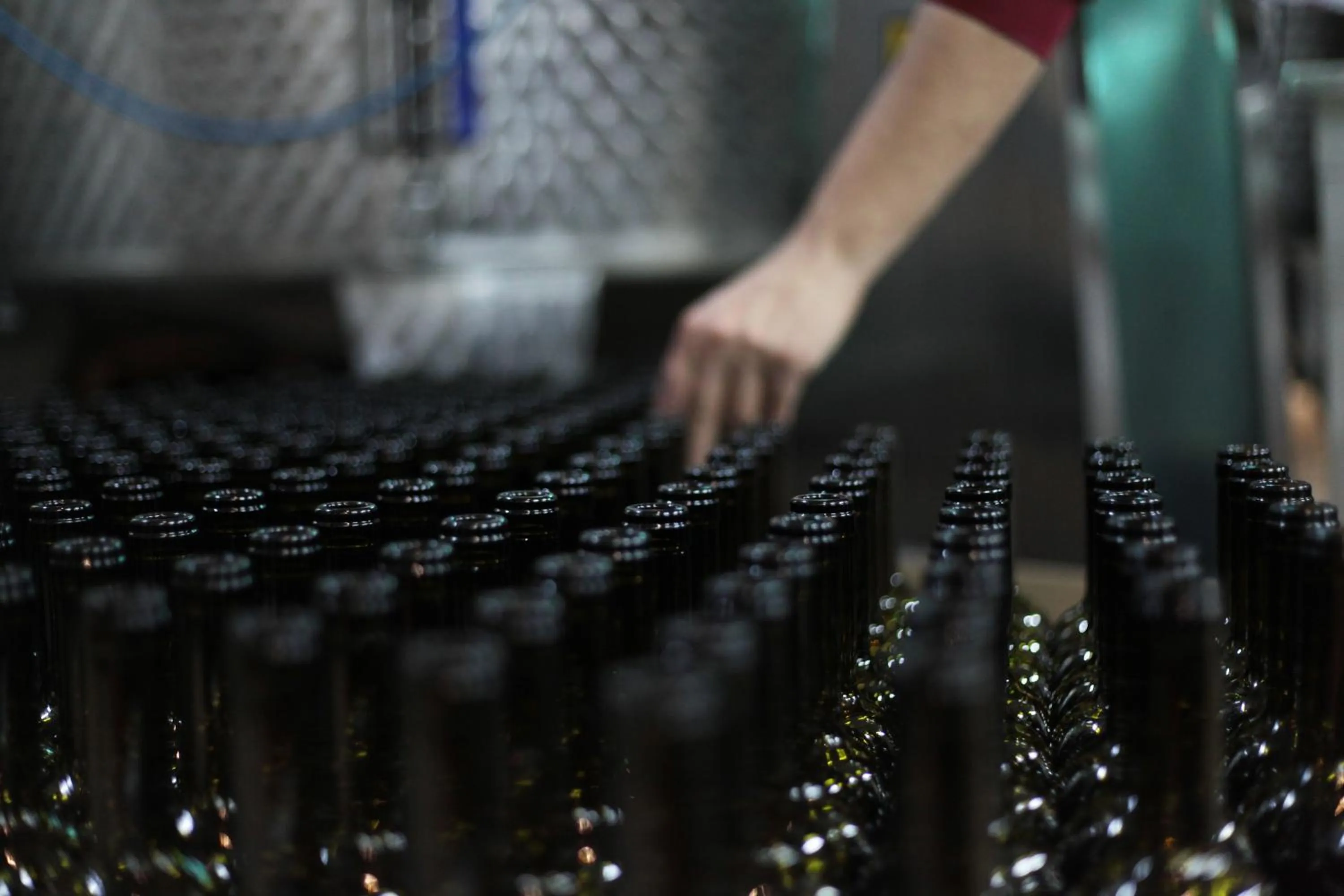 Activities in VINIFERA VINEYARDS HOTEL