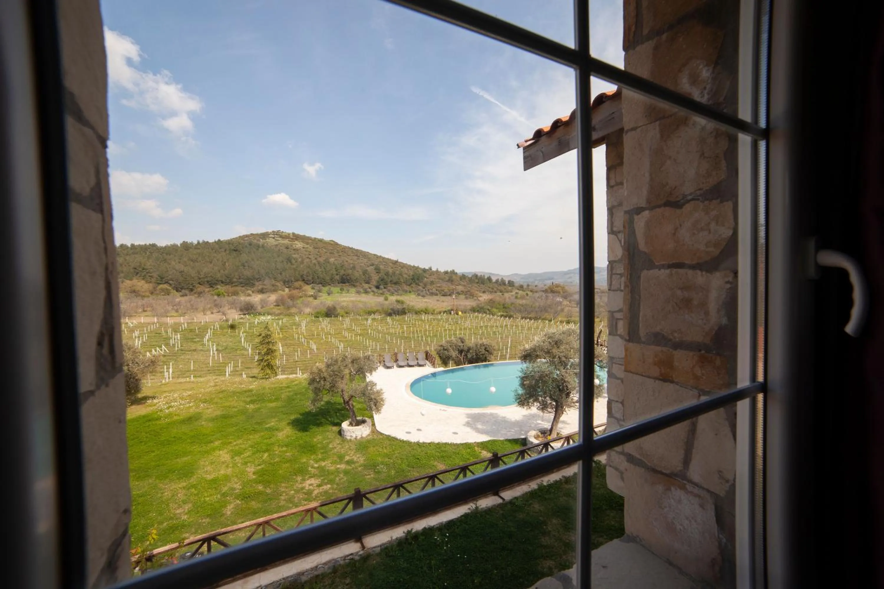 Balcony/Terrace in VINIFERA VINEYARDS HOTEL