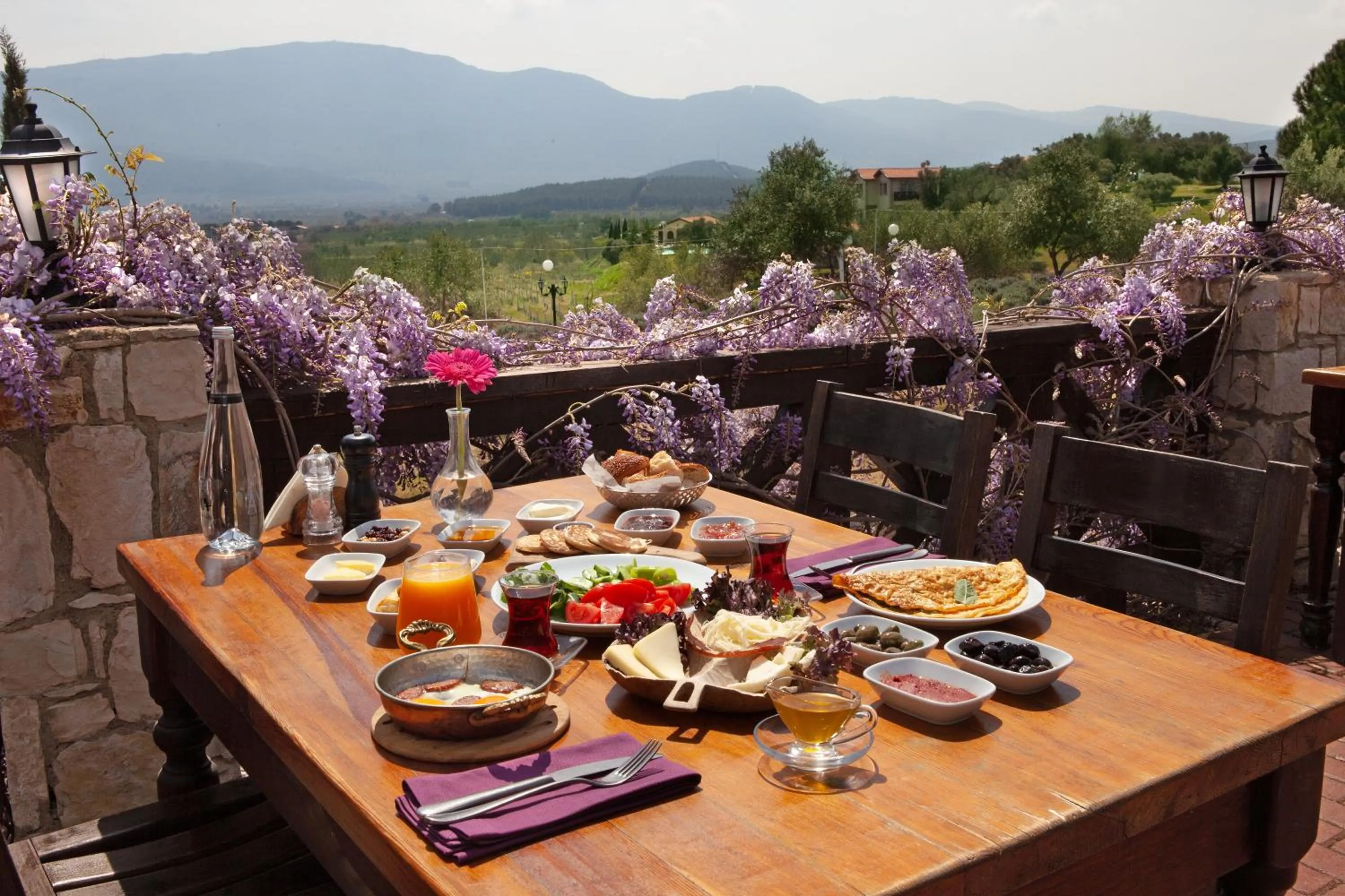 Food in VINIFERA VINEYARDS HOTEL