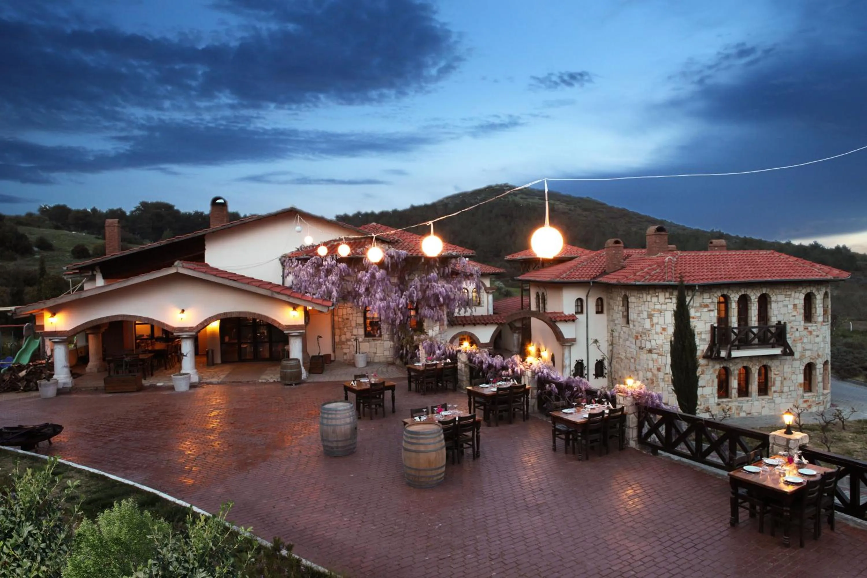 Patio in VINIFERA VINEYARDS HOTEL