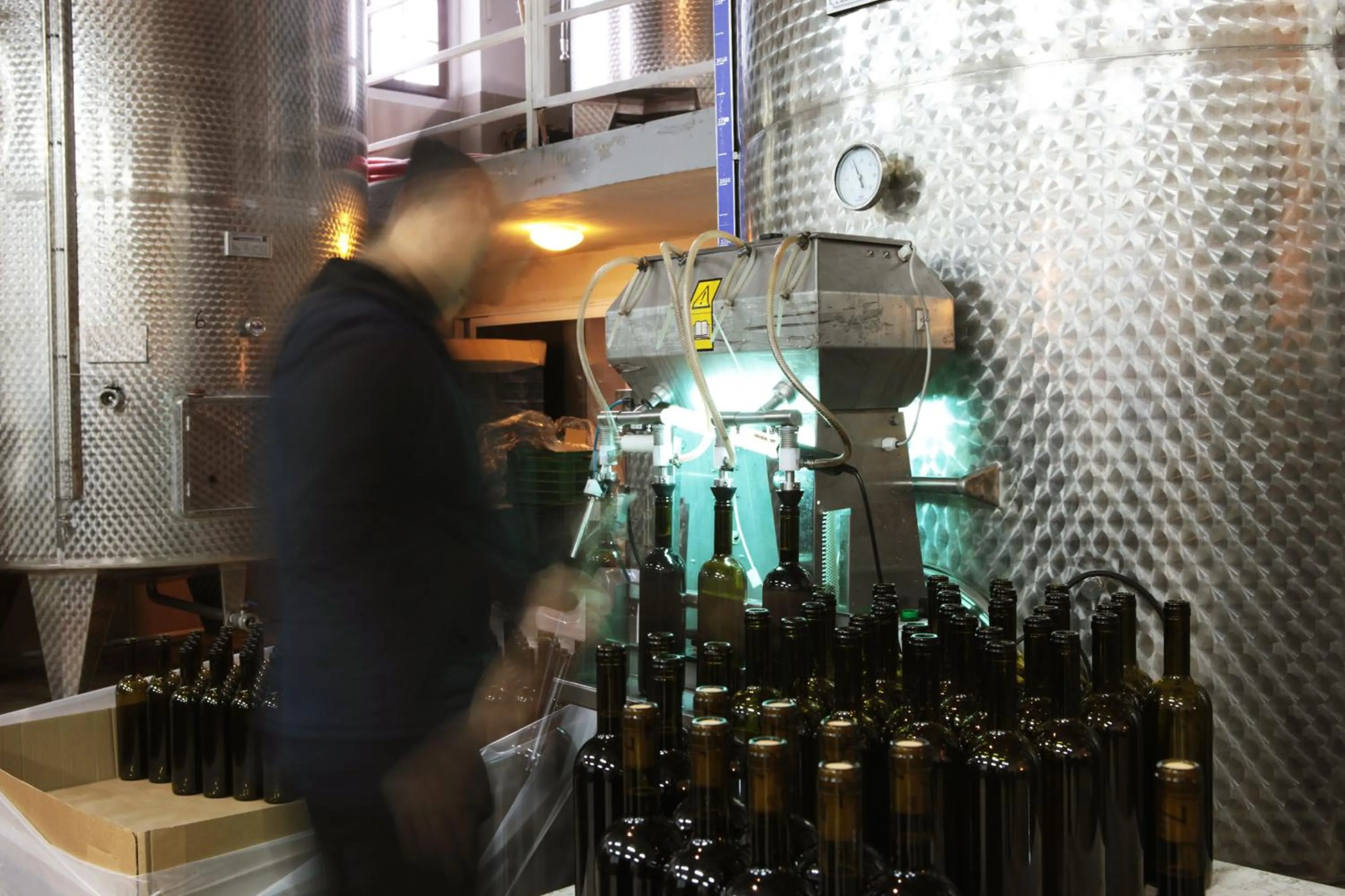 Activities in VINIFERA VINEYARDS HOTEL