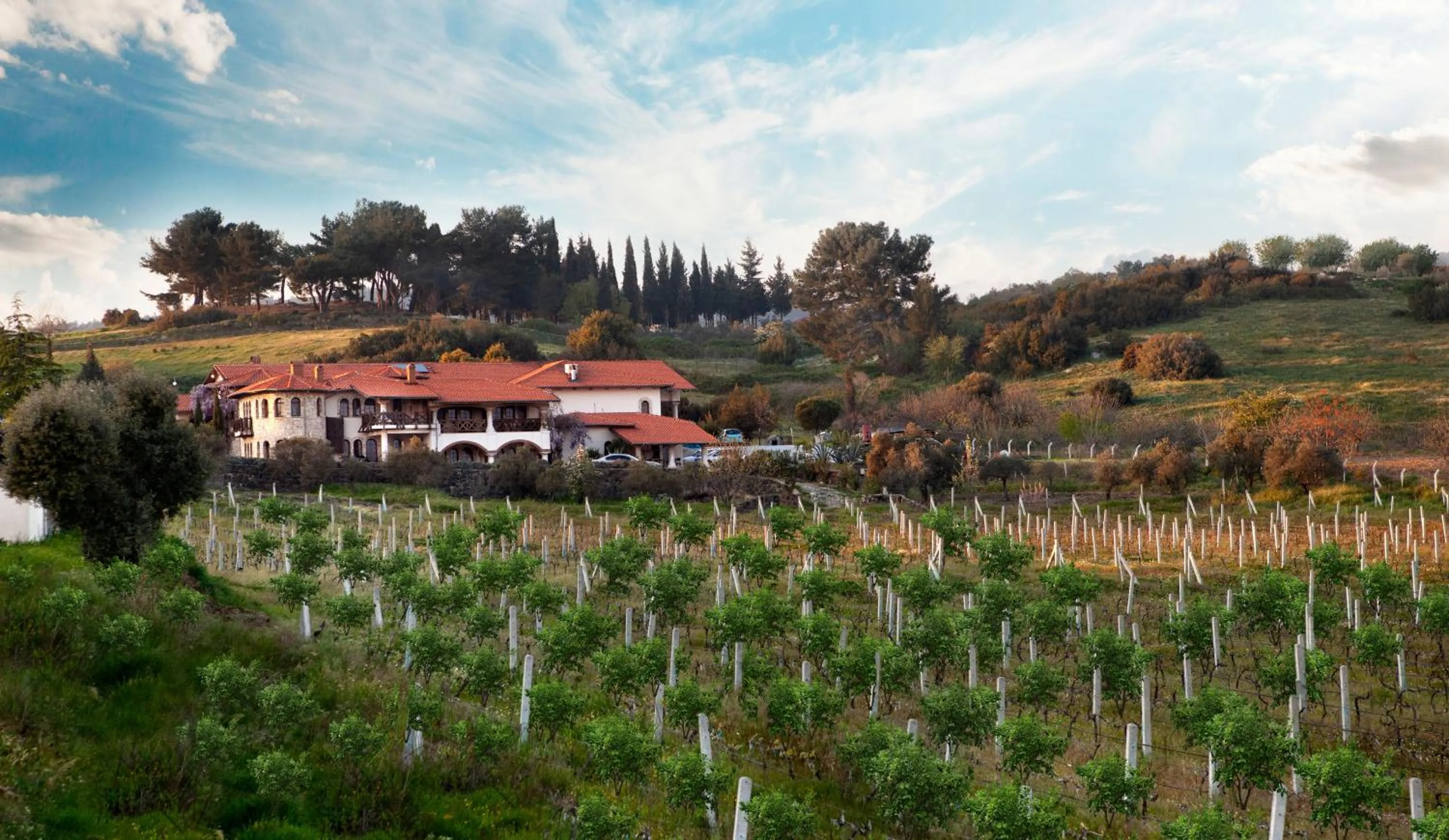 Property building in VINIFERA VINEYARDS HOTEL
