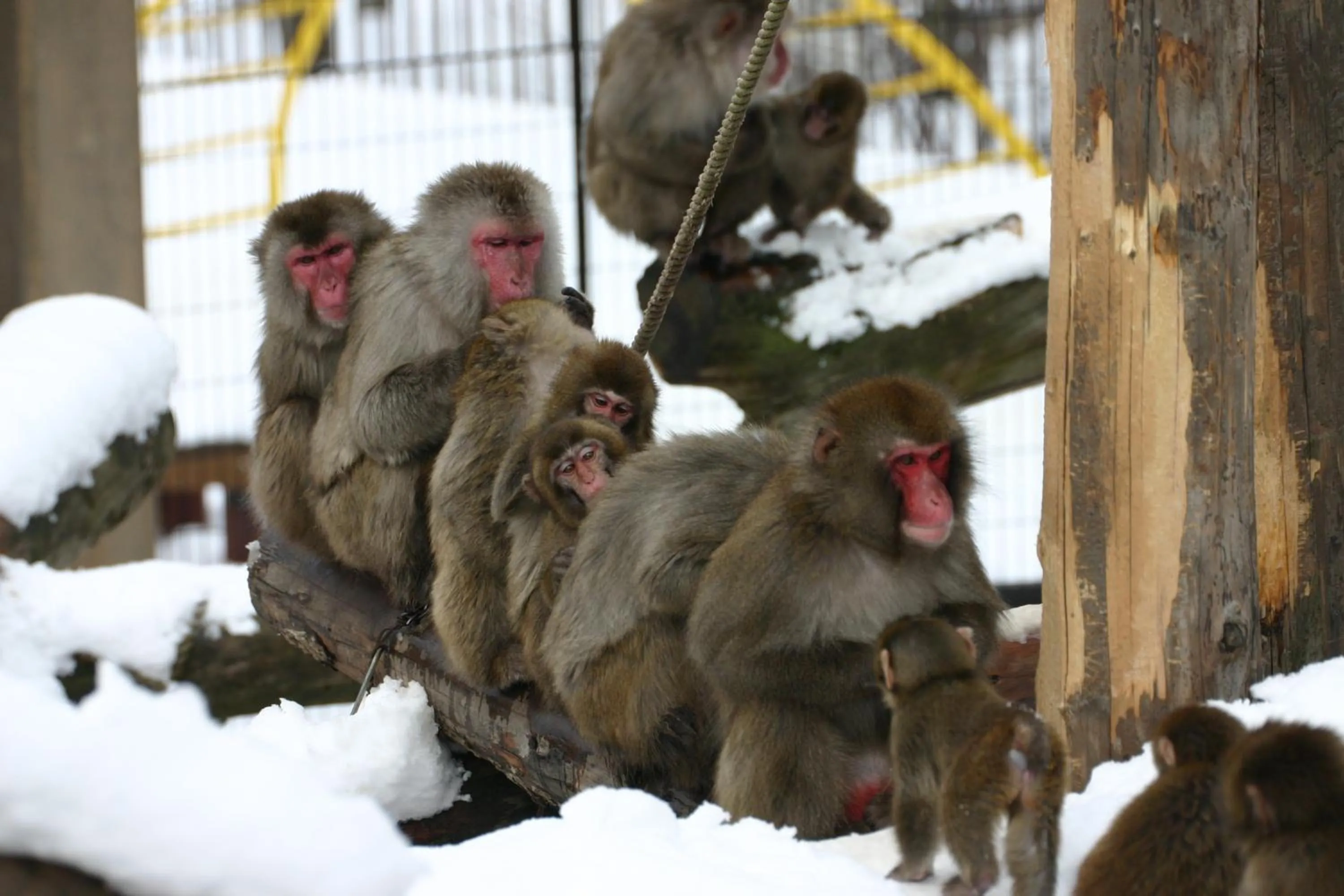 Nearby landmark in 9 C Hotel Asahikawa