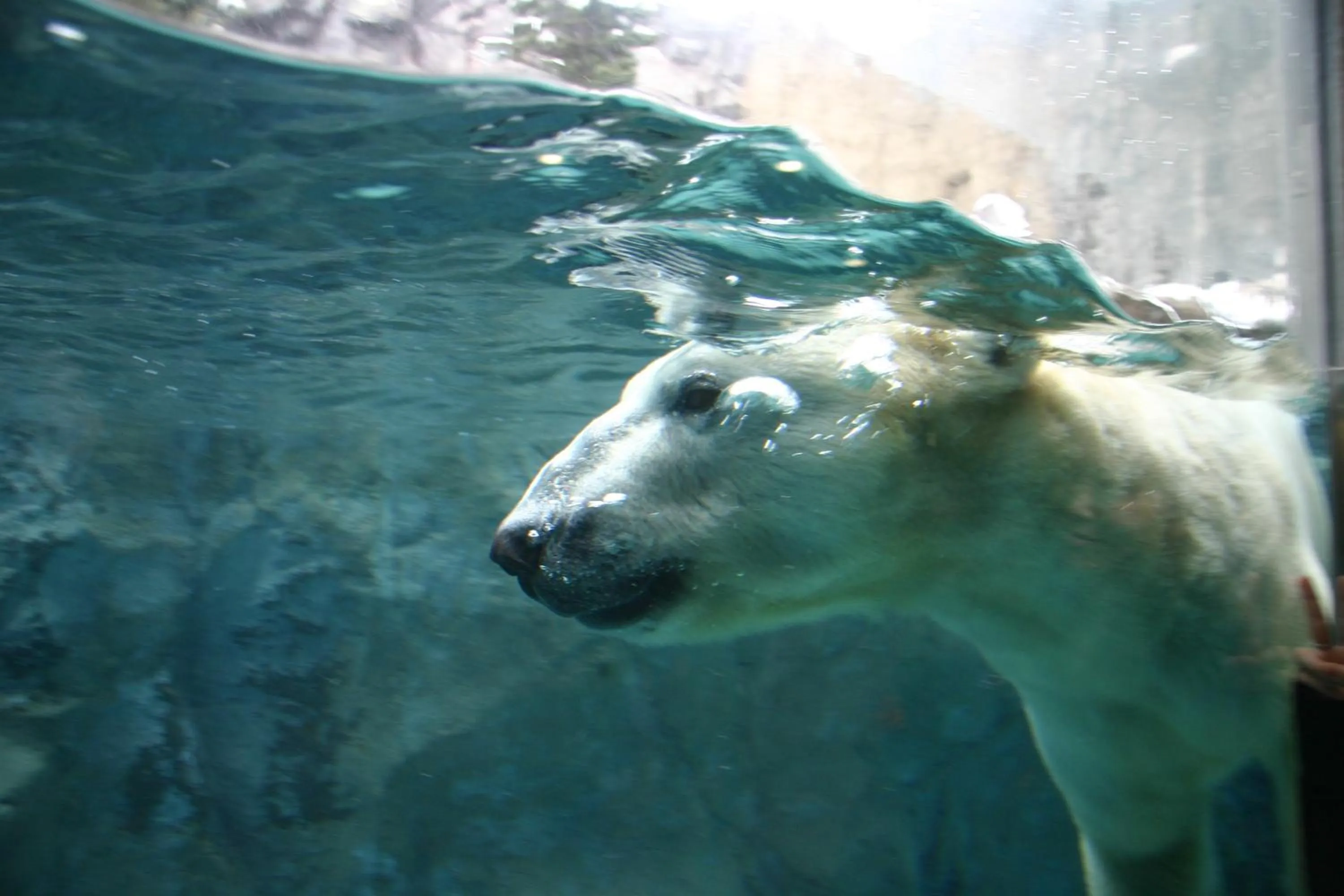 Nearby landmark in 9 C Hotel Asahikawa