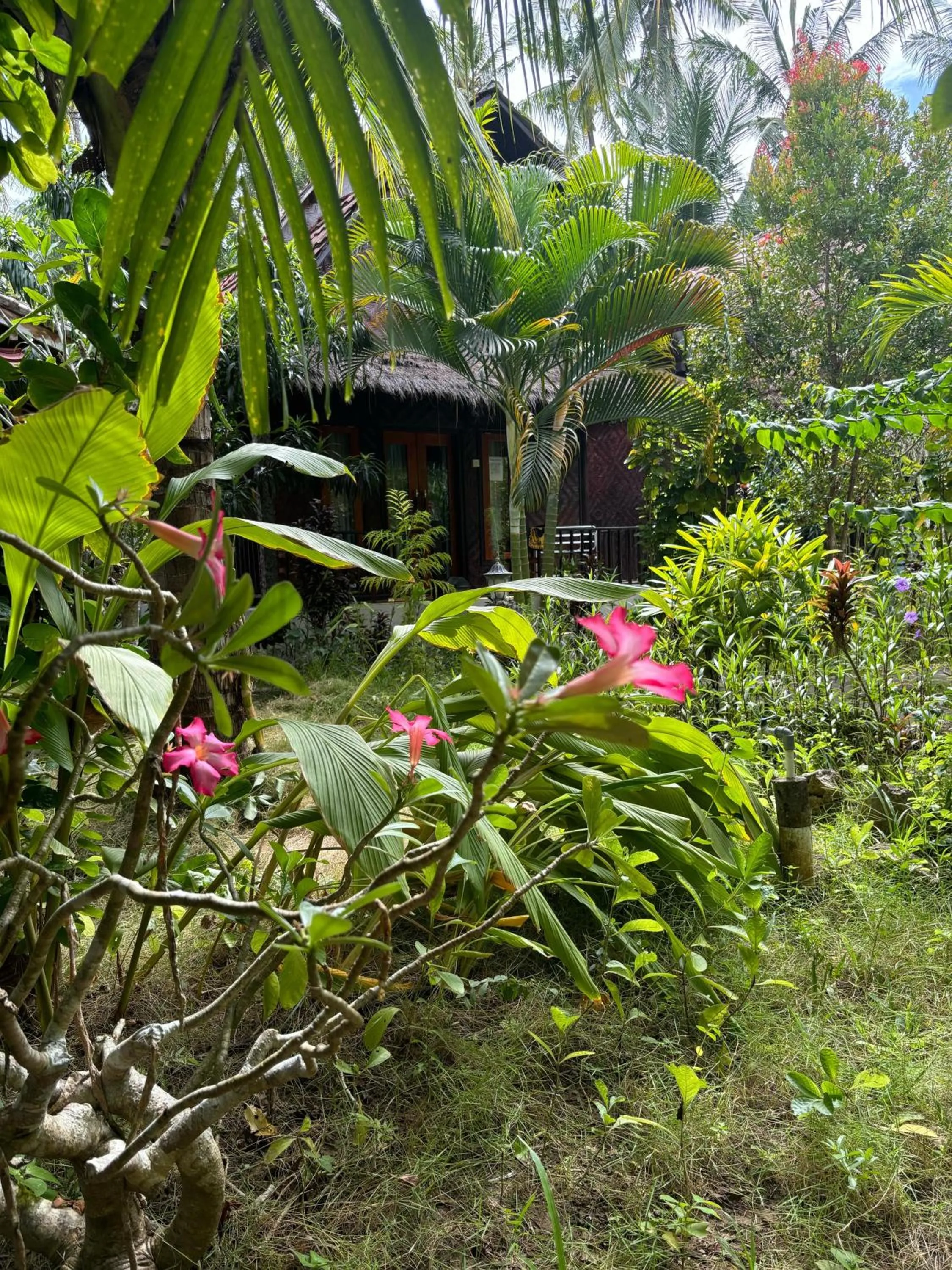 Property building in Kubu Artha Bungalow Nusa Penida