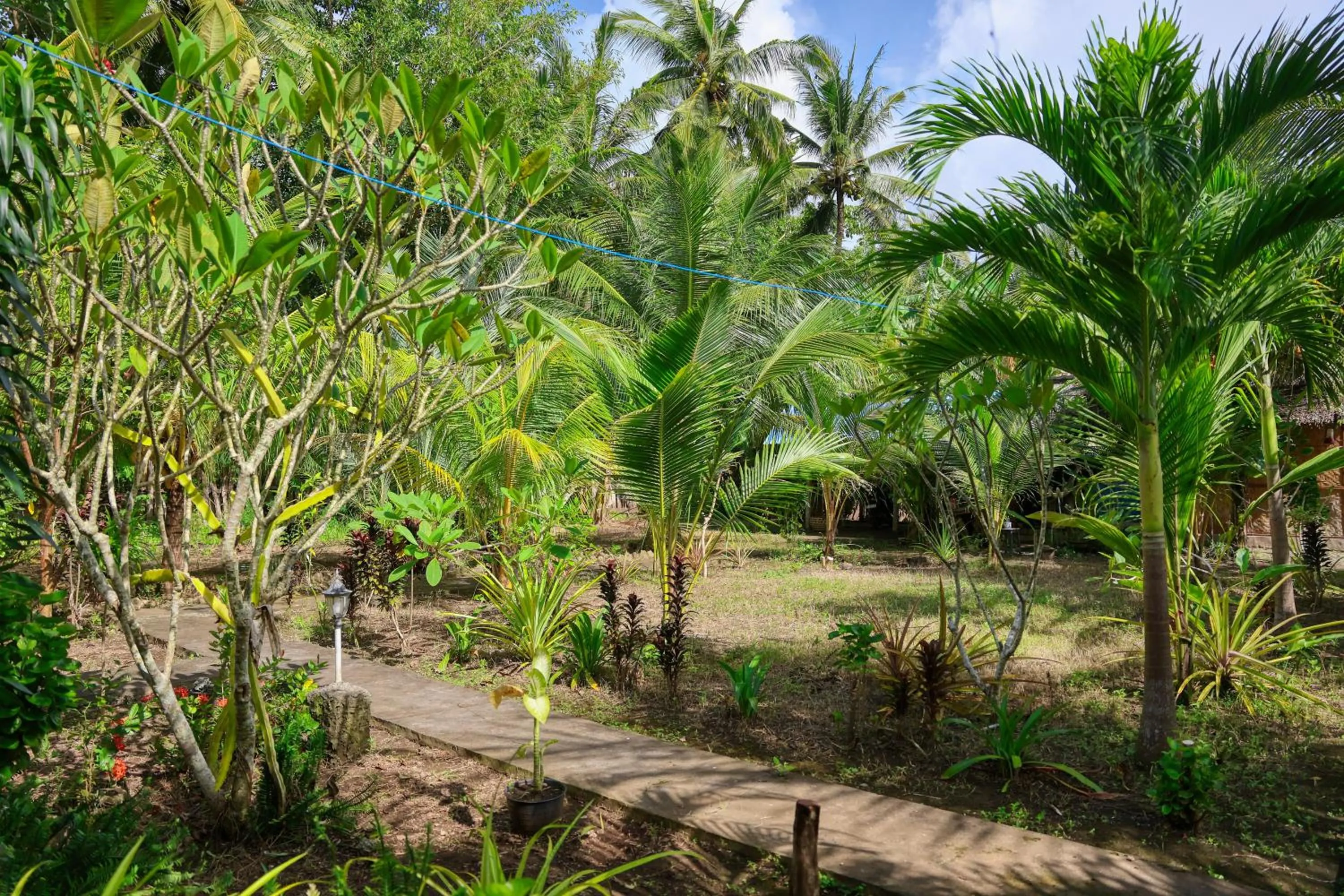 Garden in Kubu Artha Bungalow Nusa Penida