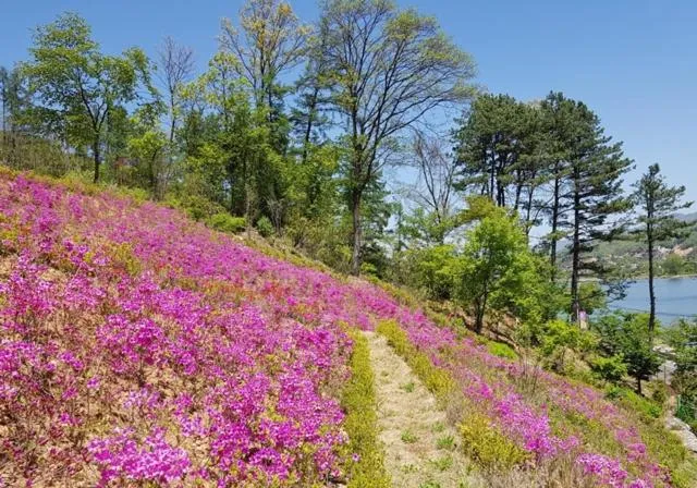 Namyangju Bukhangang dolcecasa hotel