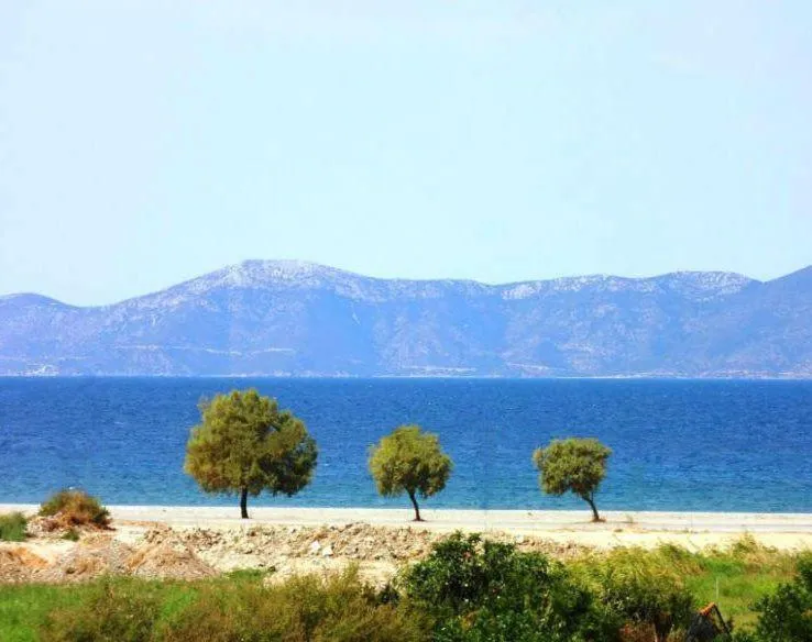 Day in Villa Anastasia