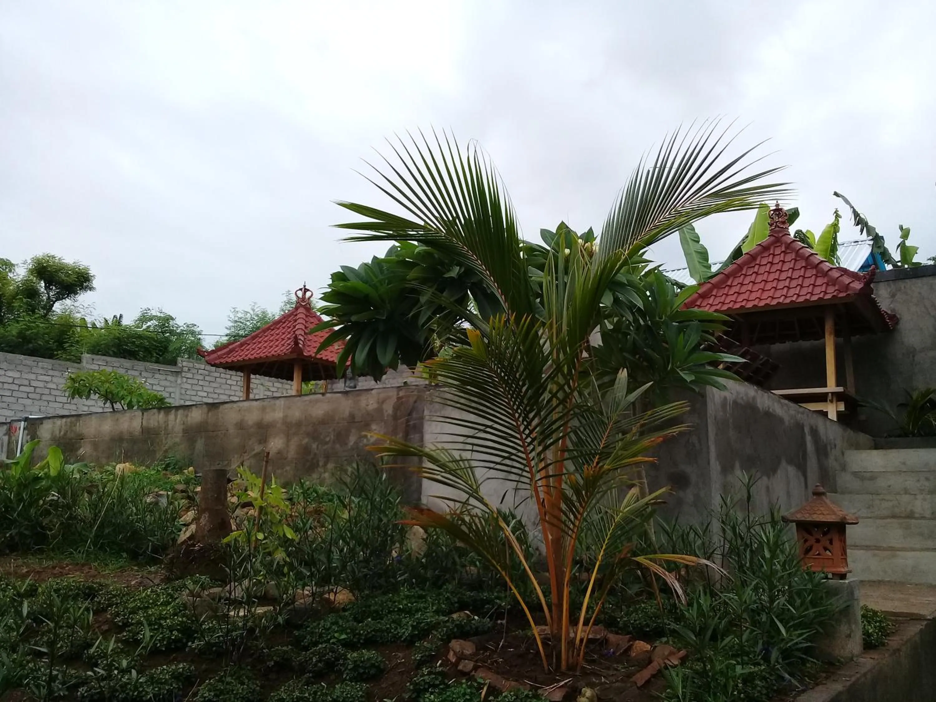 Garden in Eliska Sari Bungalows Sumberkima