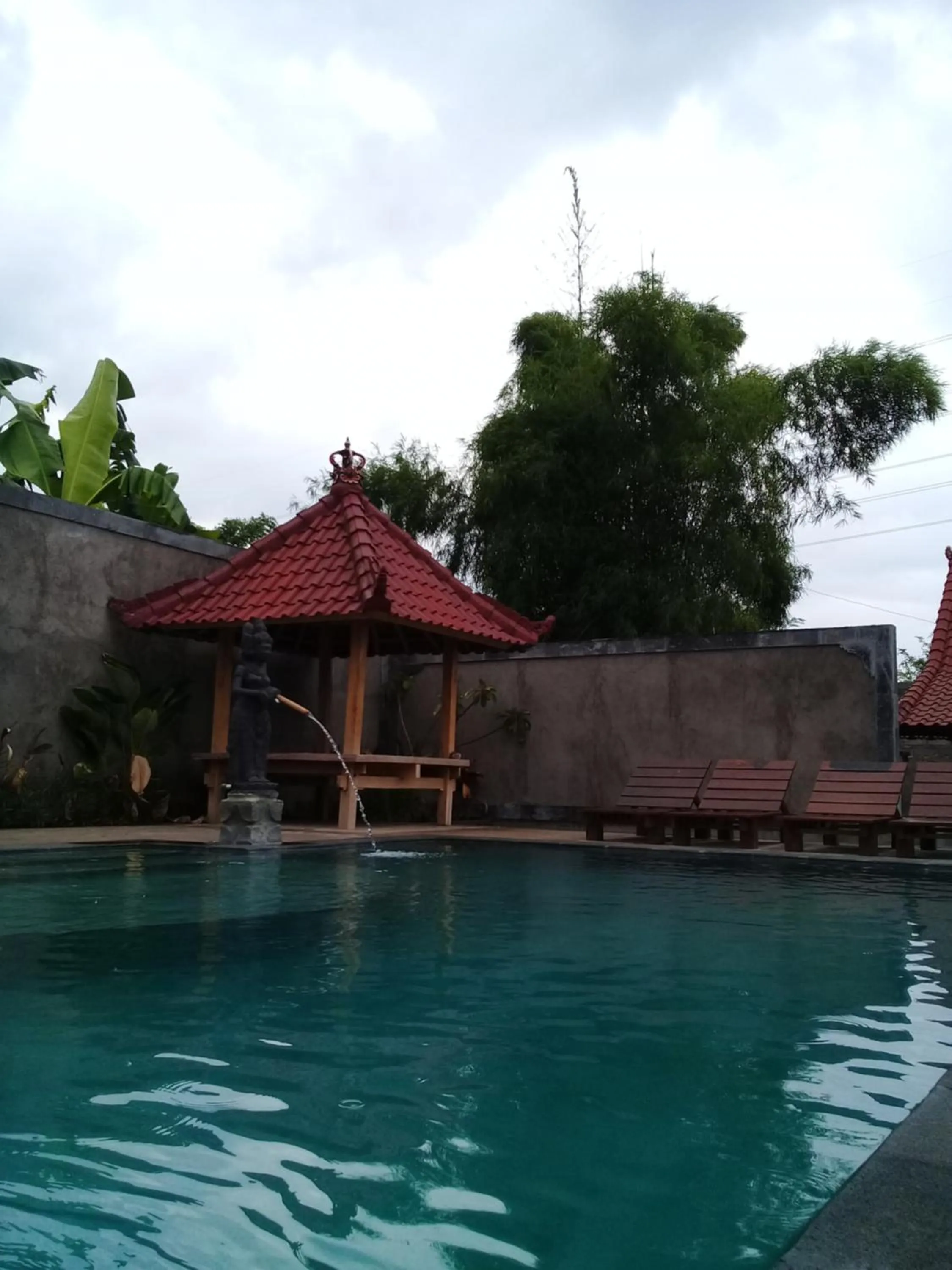 Swimming pool in Eliska Sari Bungalows Sumberkima