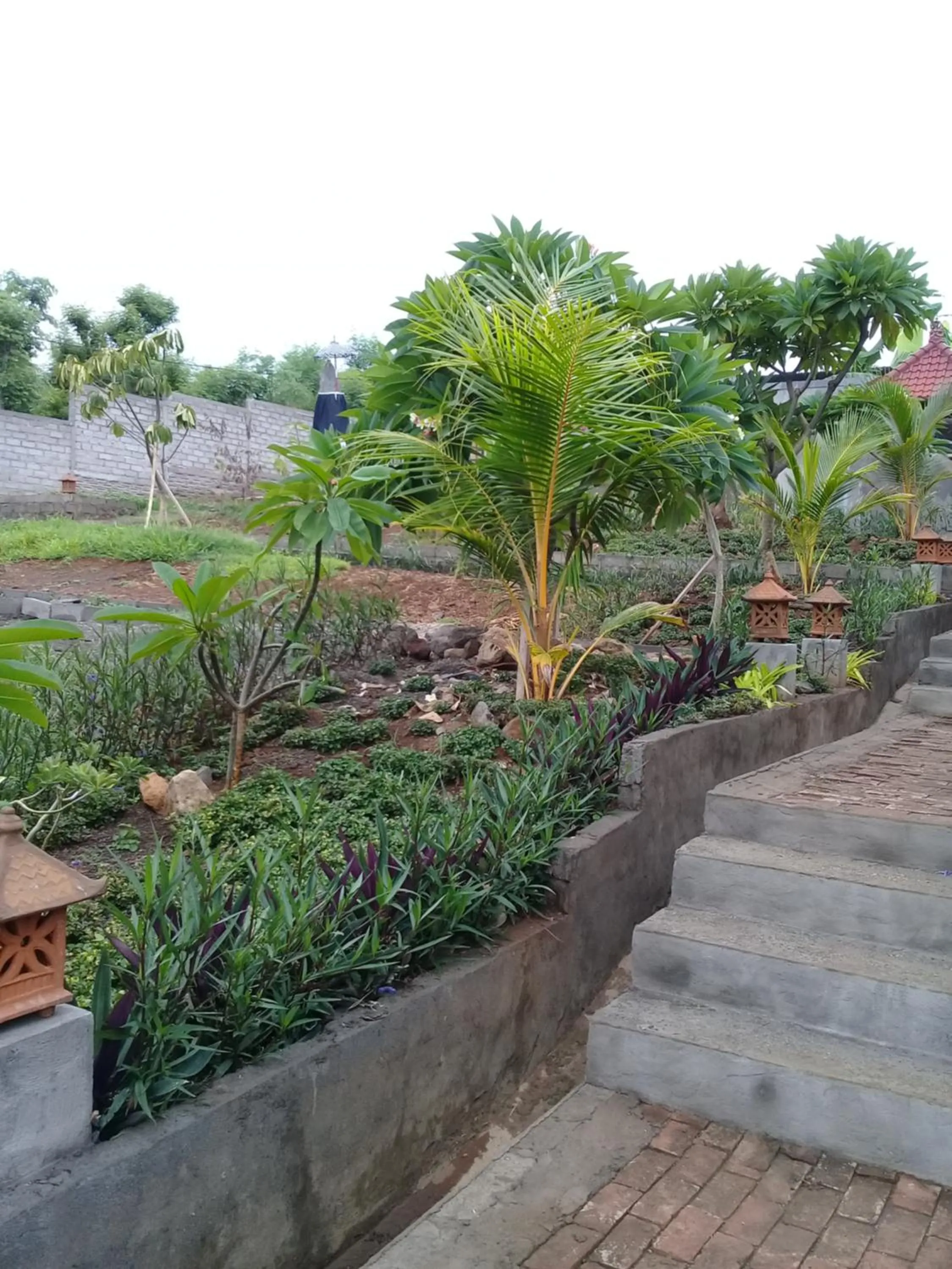 Garden in Eliska Sari Bungalows Sumberkima