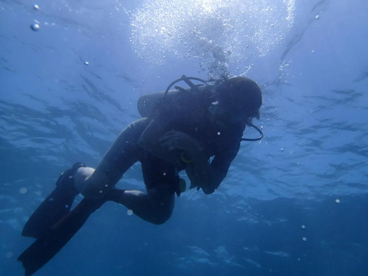 Diving in Eliska Sari Bungalows Sumberkima