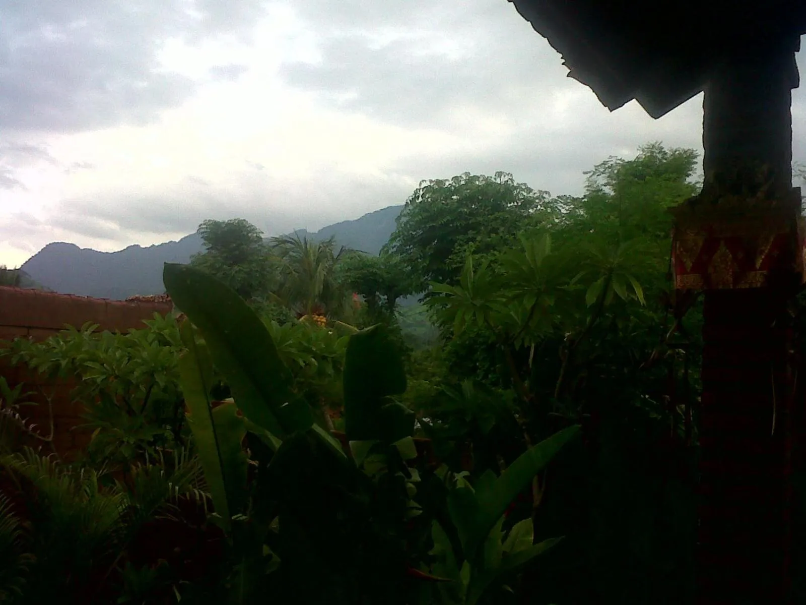 Garden in Eliska Sari Bungalows Sumberkima