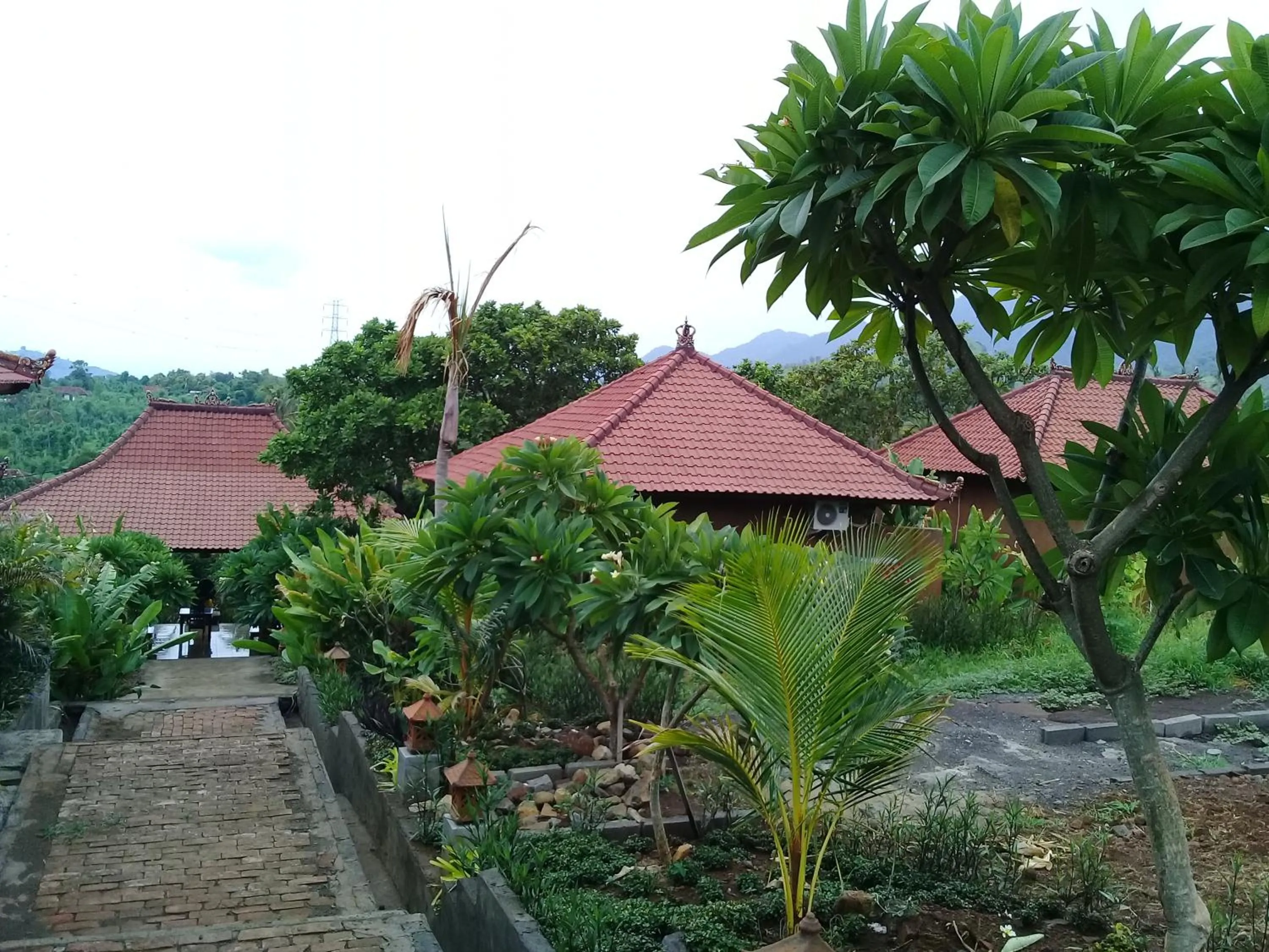 Natural landscape in Eliska Sari Bungalows Sumberkima