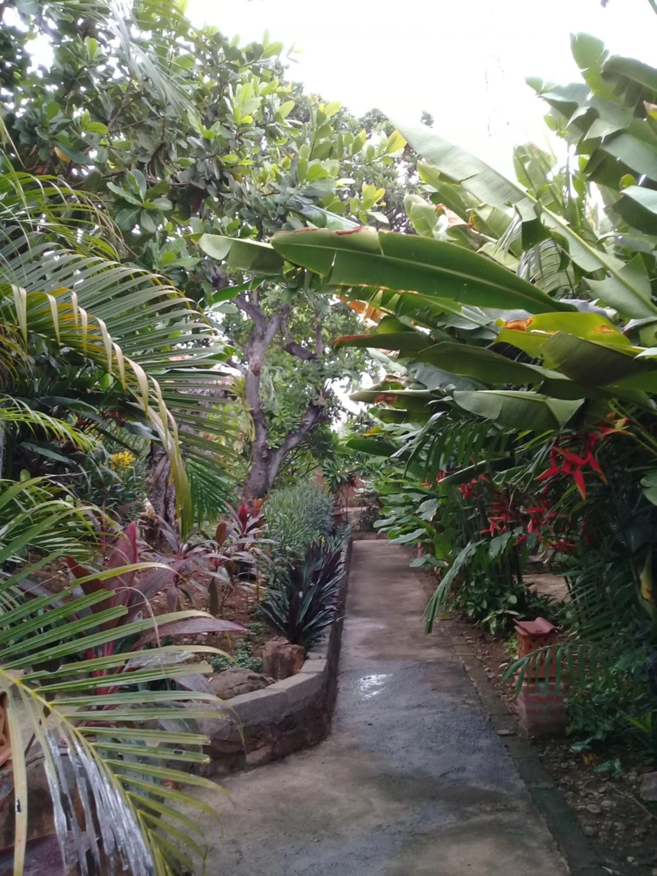 Natural landscape in Eliska Sari Bungalows Sumberkima