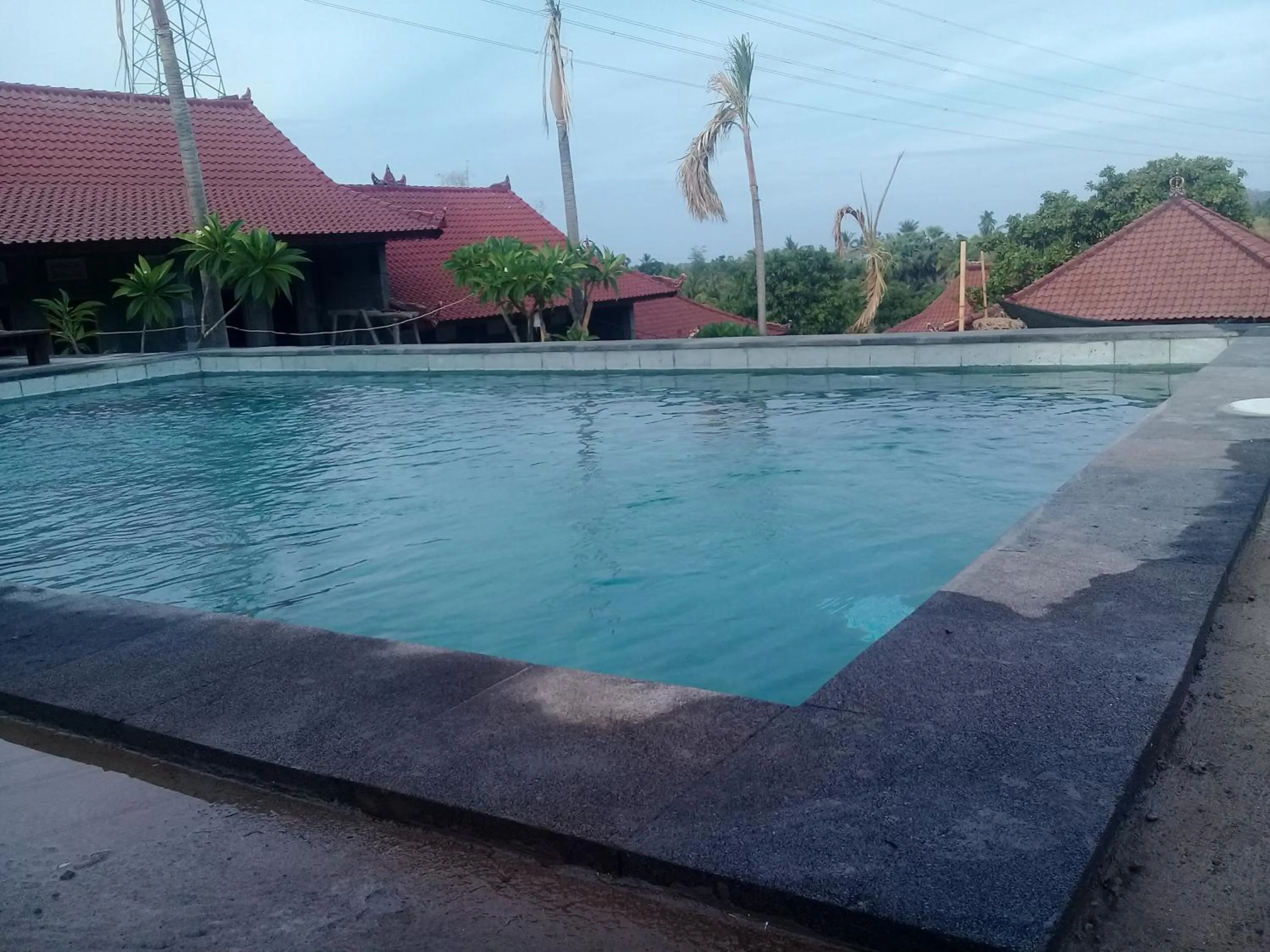 Pool view in Eliska Sari Bungalows Sumberkima