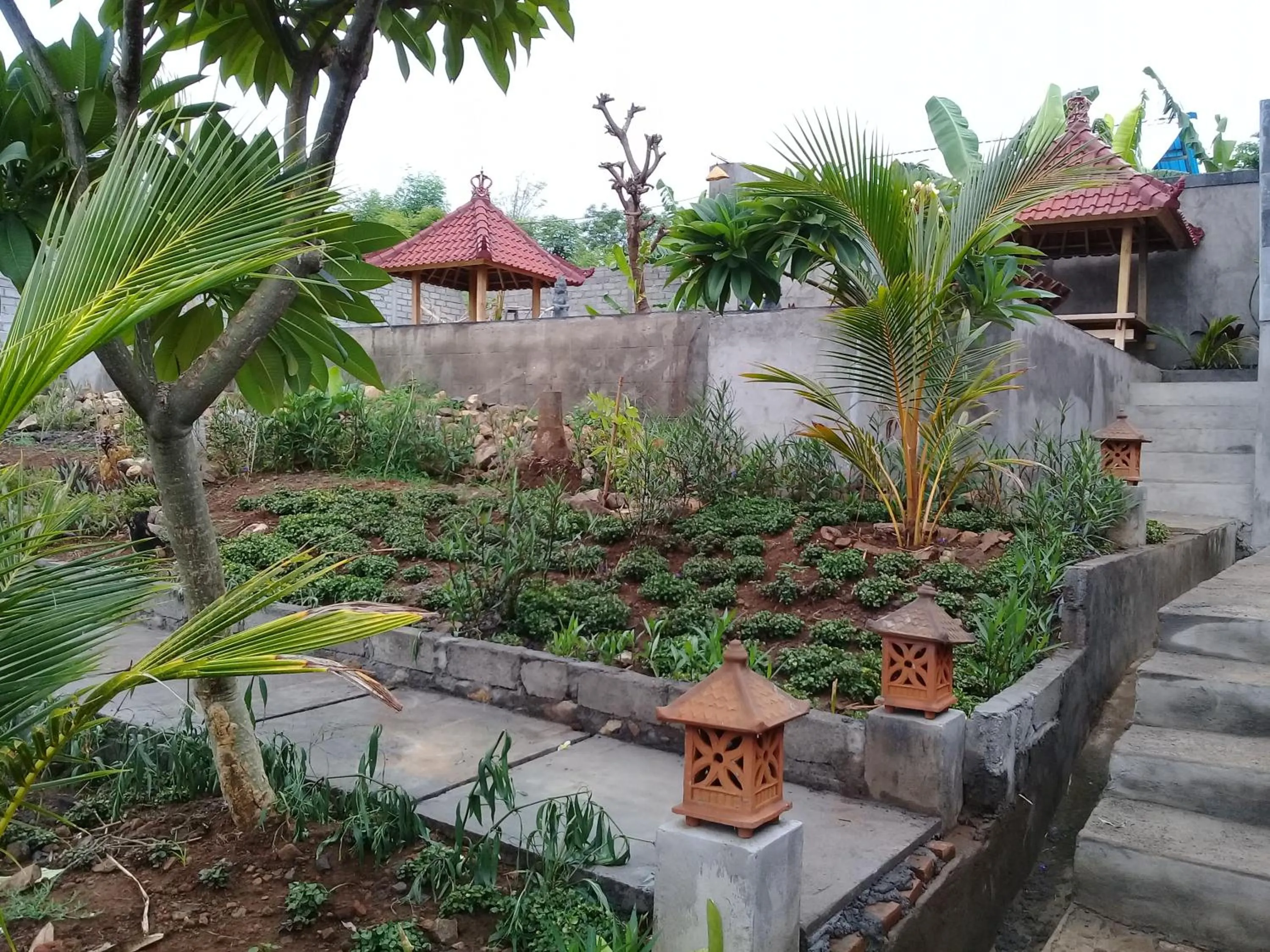 Patio in Eliska Sari Bungalows Sumberkima