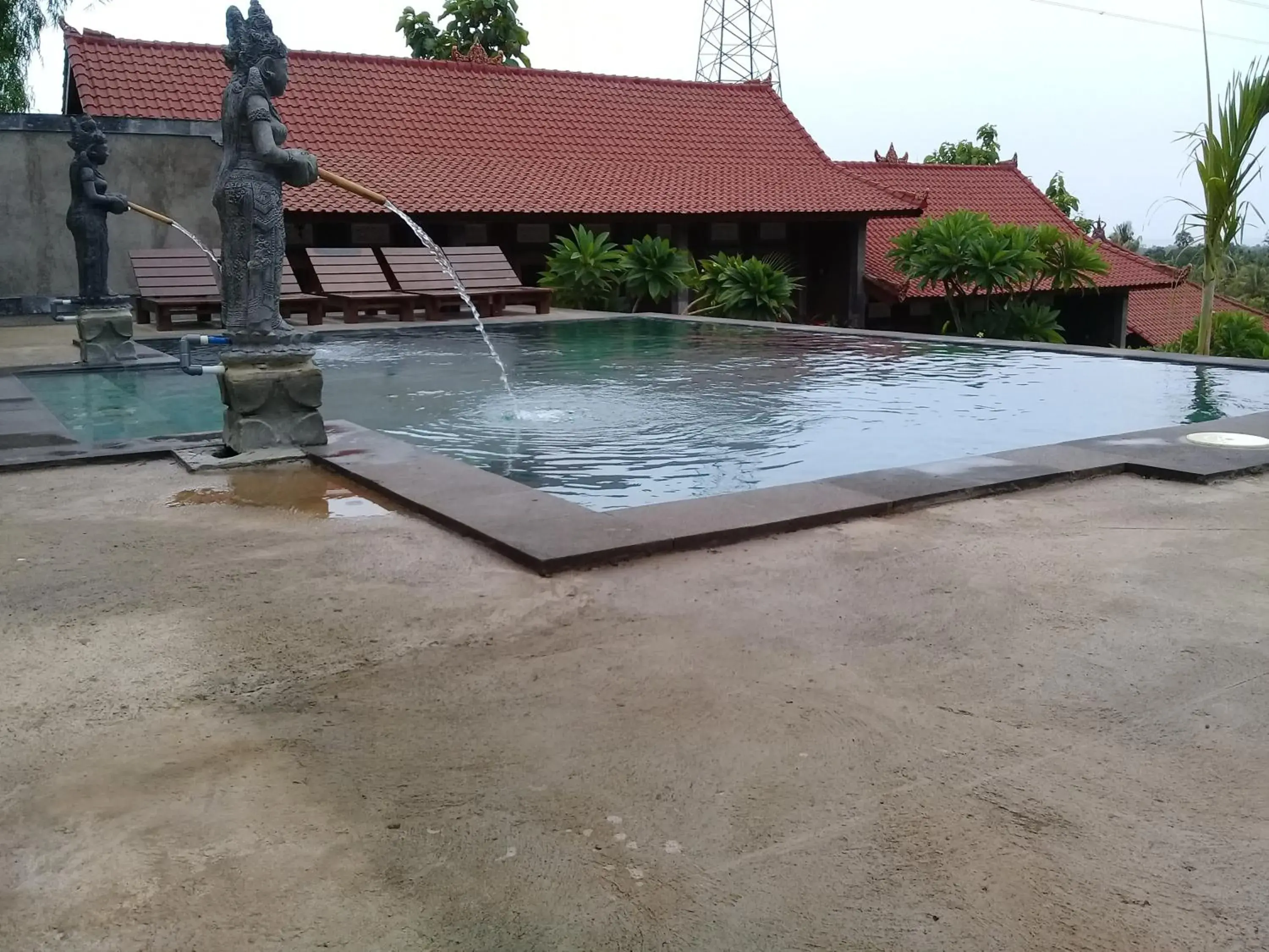 Swimming pool in Eliska Sari Bungalows Sumberkima Swimming pool in Eliska Sari Bungalows Sumberkima