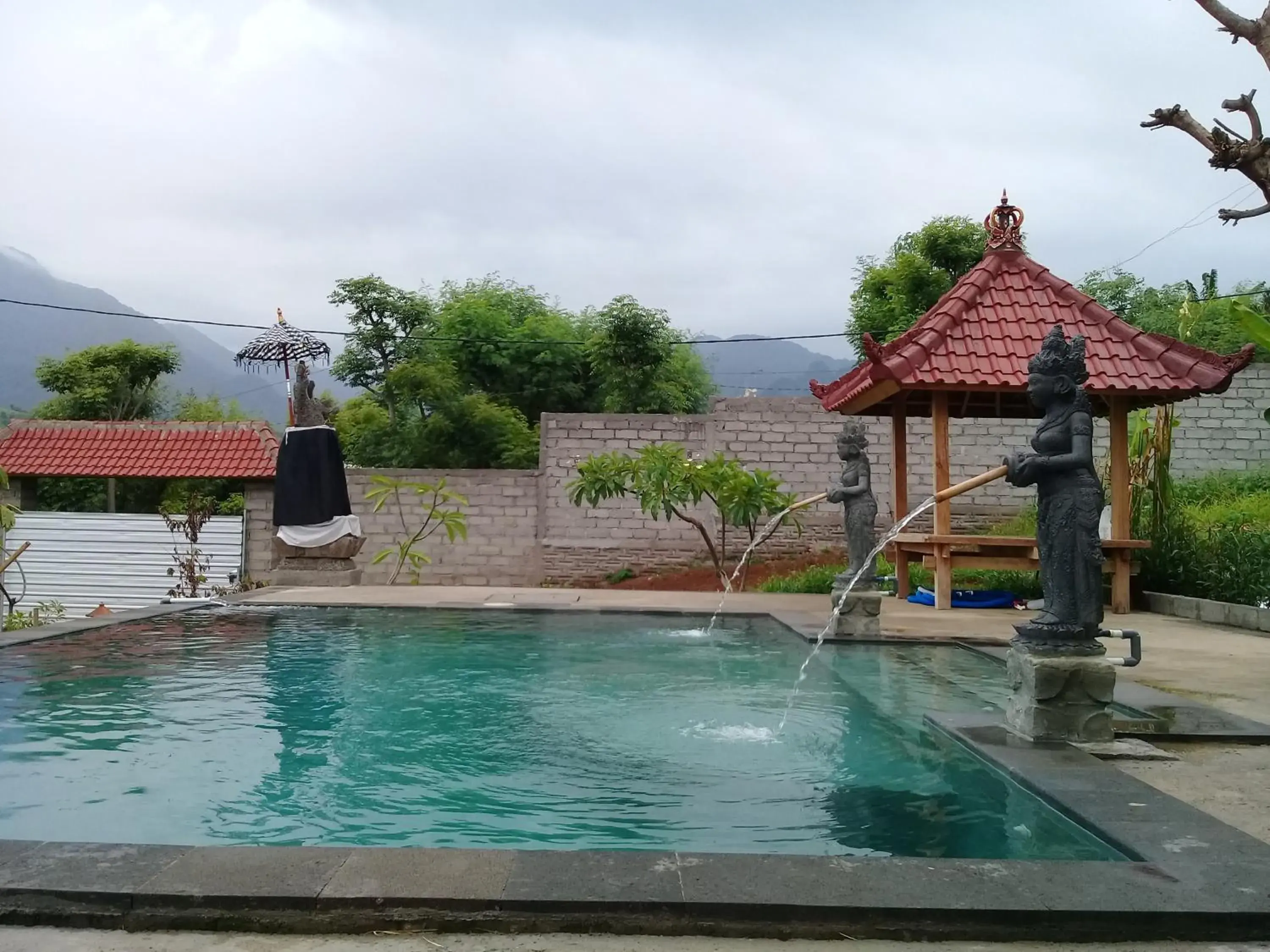 Swimming pool in Eliska Sari Bungalows Sumberkima Swimming pool in Eliska Sari Bungalows Sumberkima