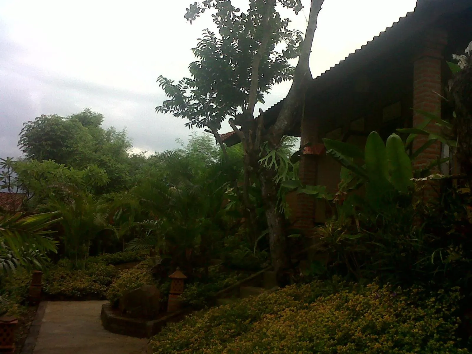 Garden in Eliska Sari Bungalows Sumberkima