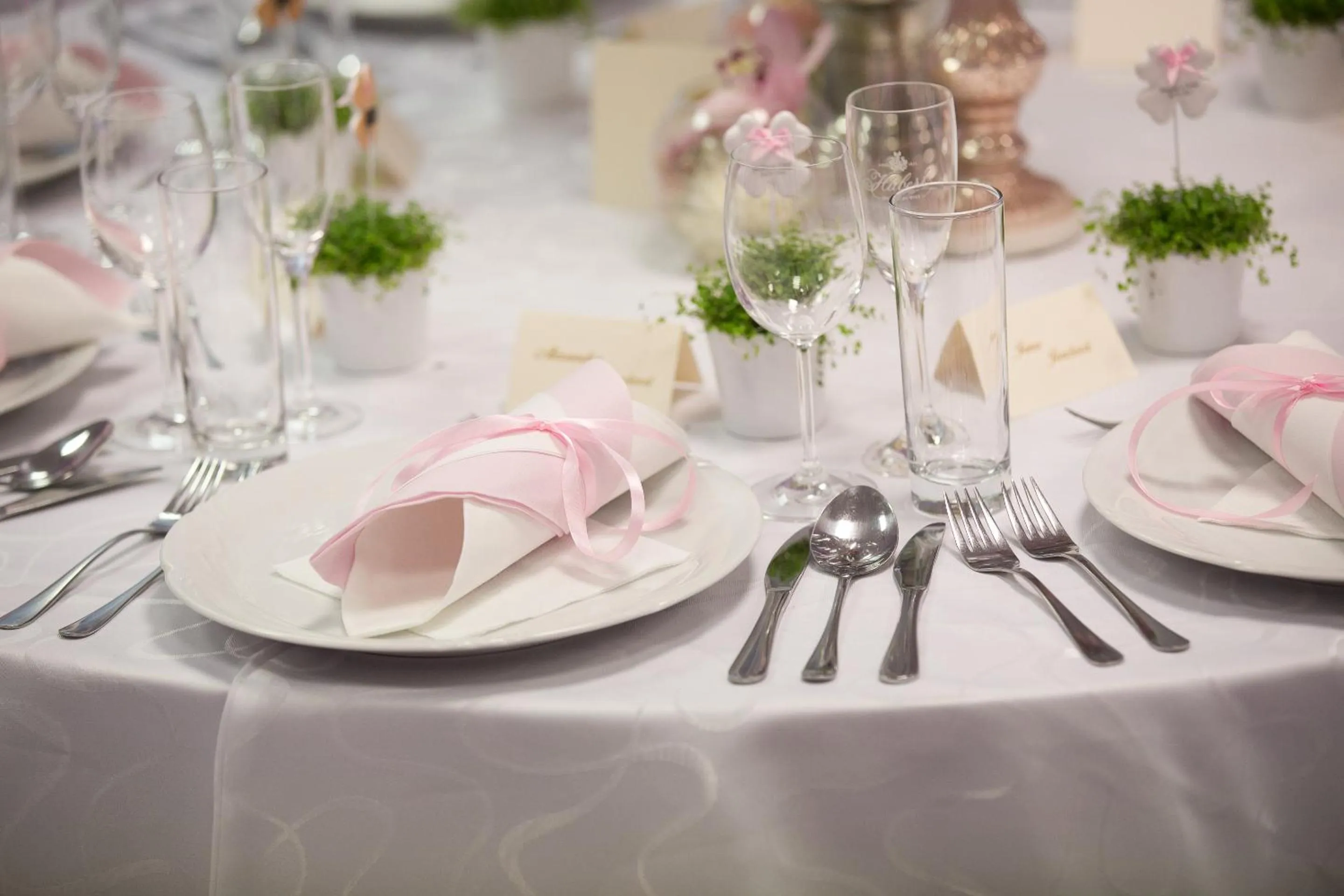 Other in Hotel Kormorán