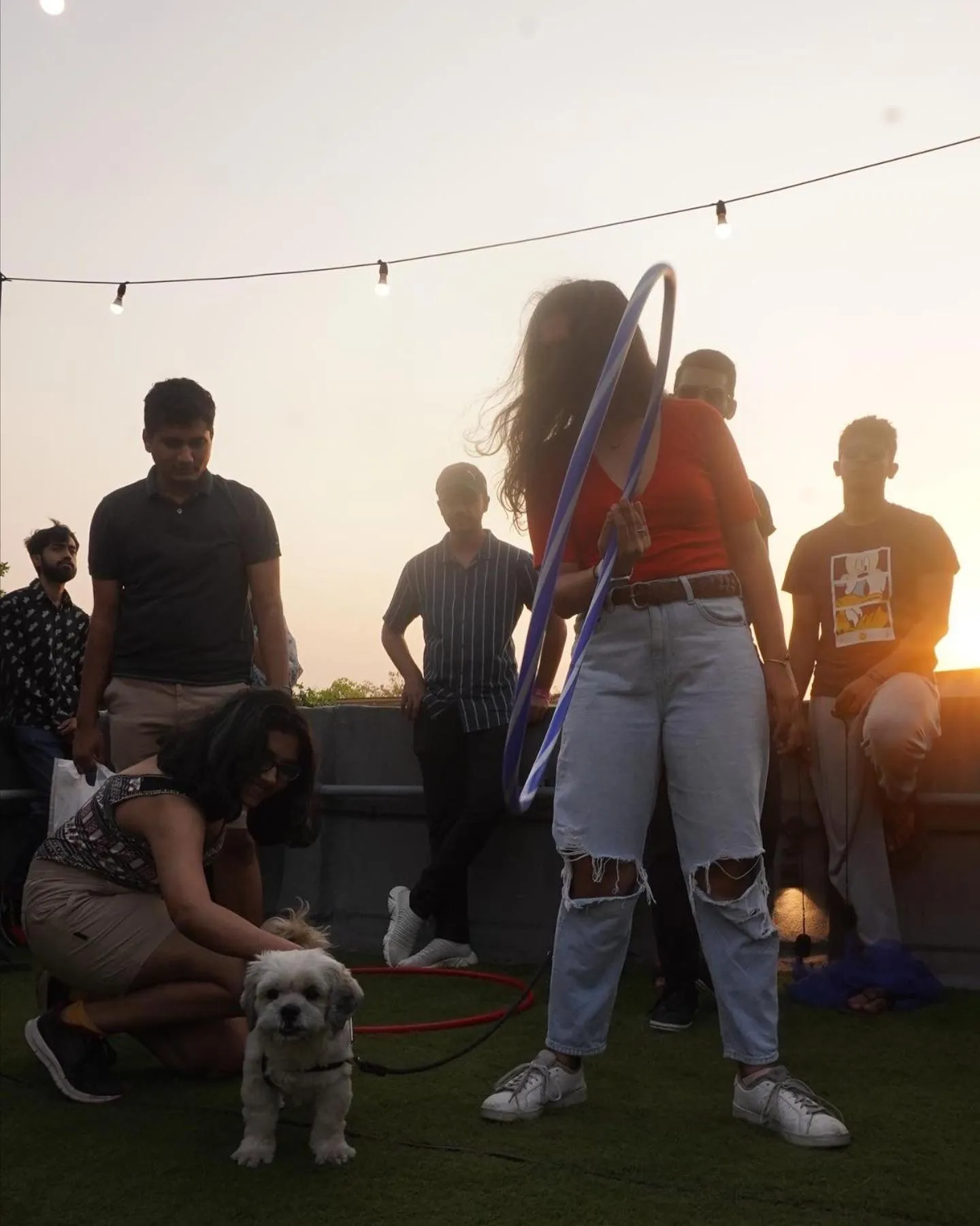 Pets in Locomo Hostel OG - Stay Work Eat