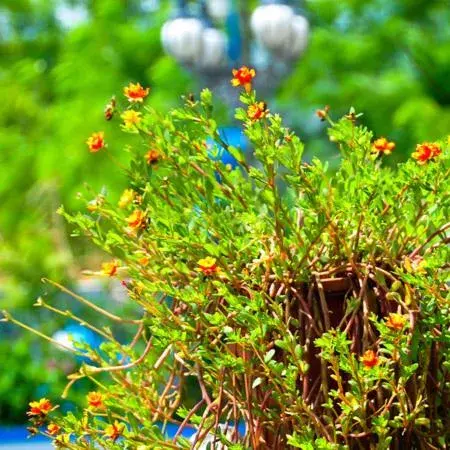 HaiAn Xian Homestay HaiAn Xian Homestay