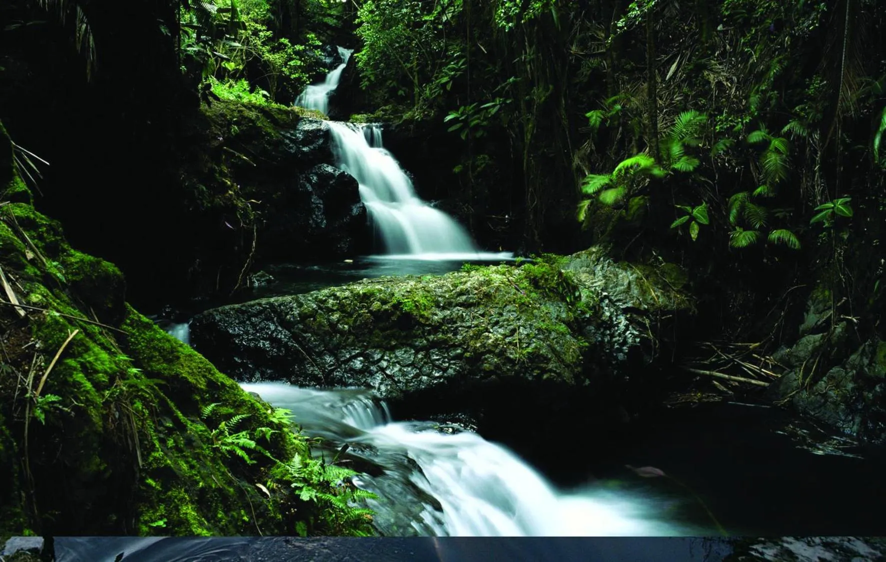 Area and facilities in Killarney Towers Hotel & Leisure Centre